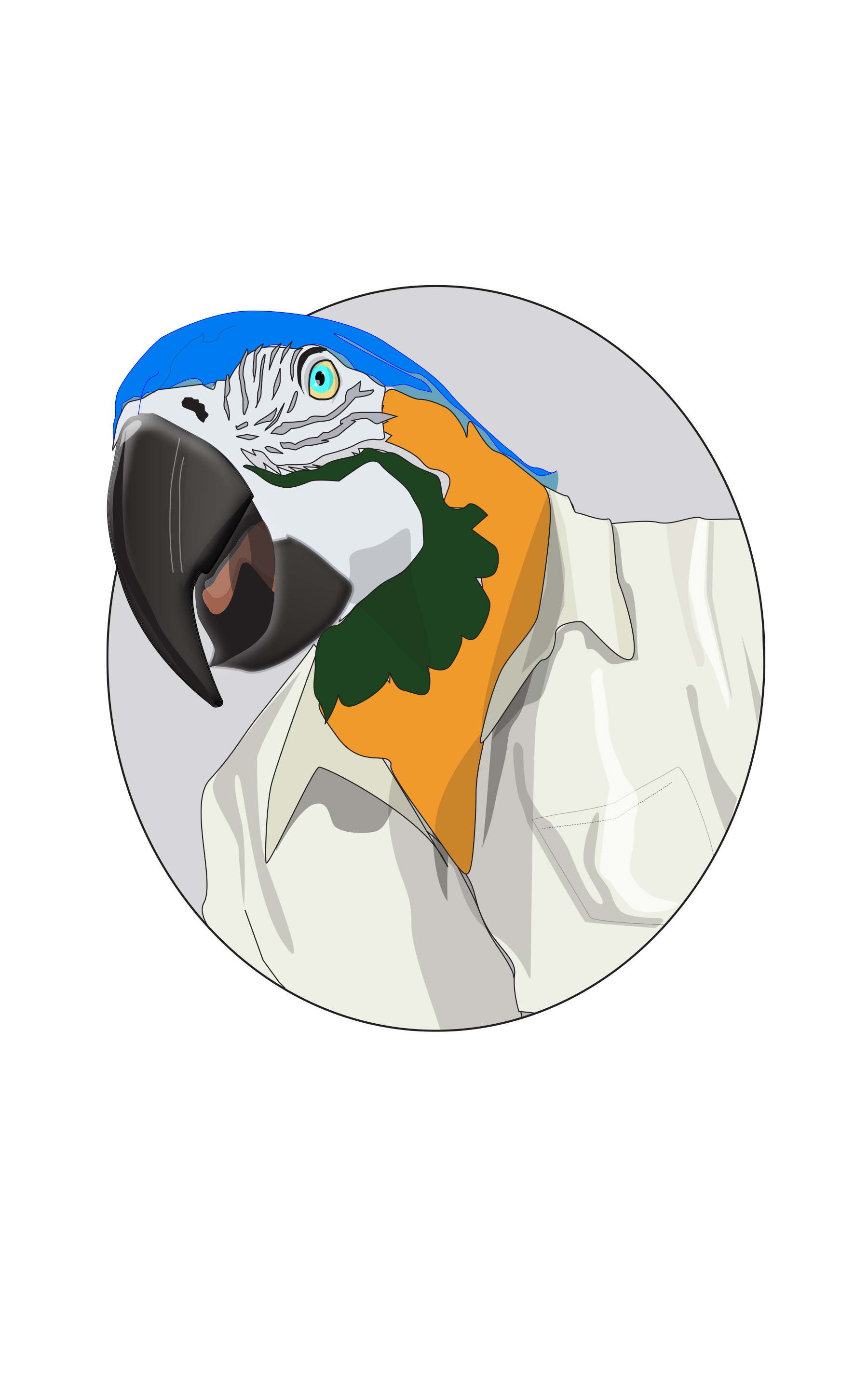 The Parrot Final.png