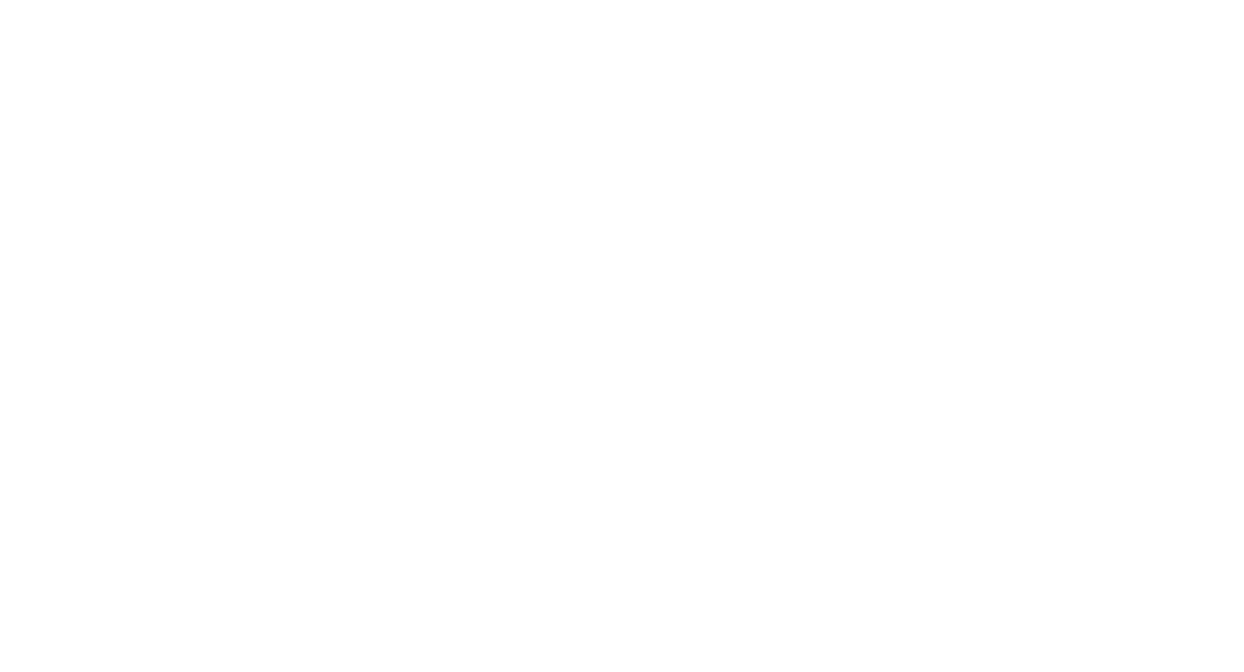 BYB white logo