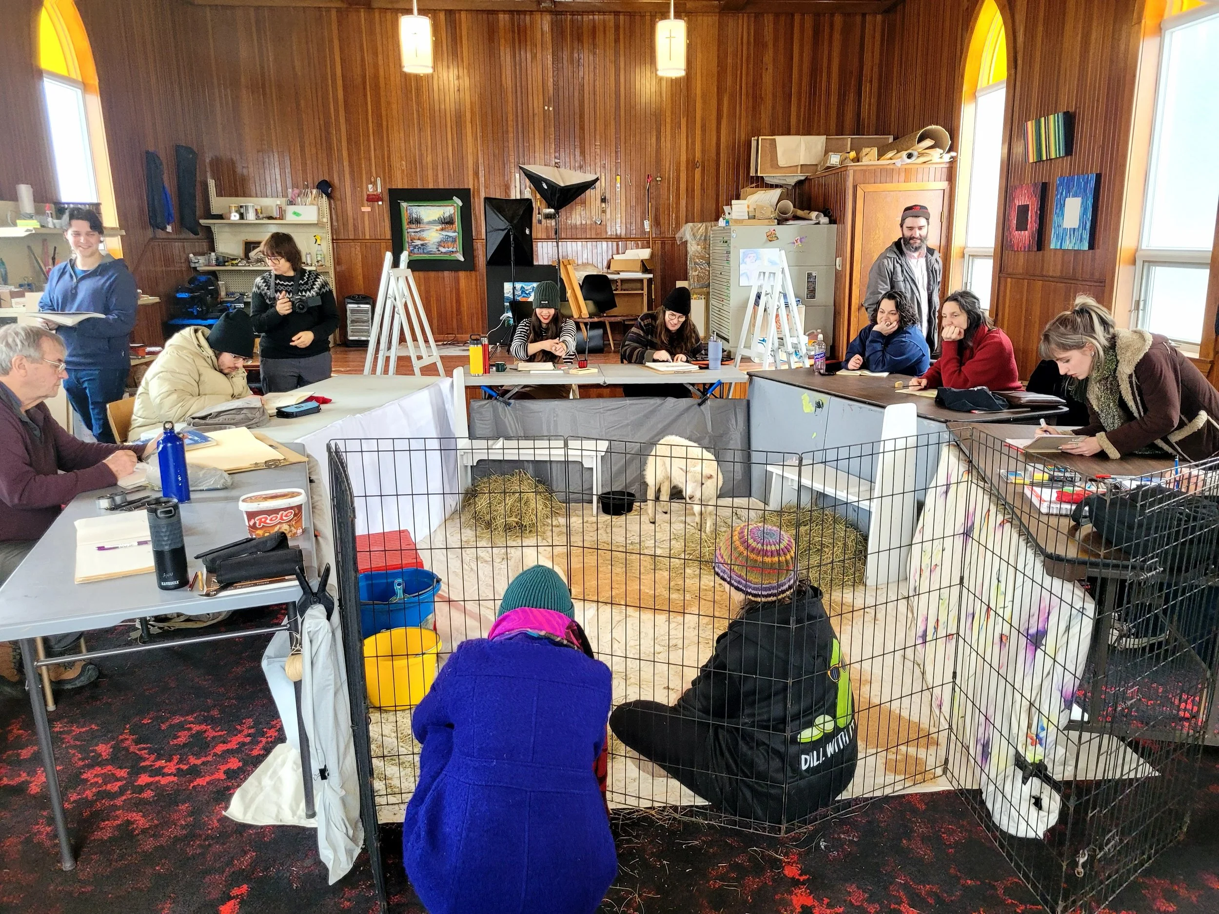 We are VERY pet friendly! 4-legged life drawing with two little lambs, Meringue and Pearl.