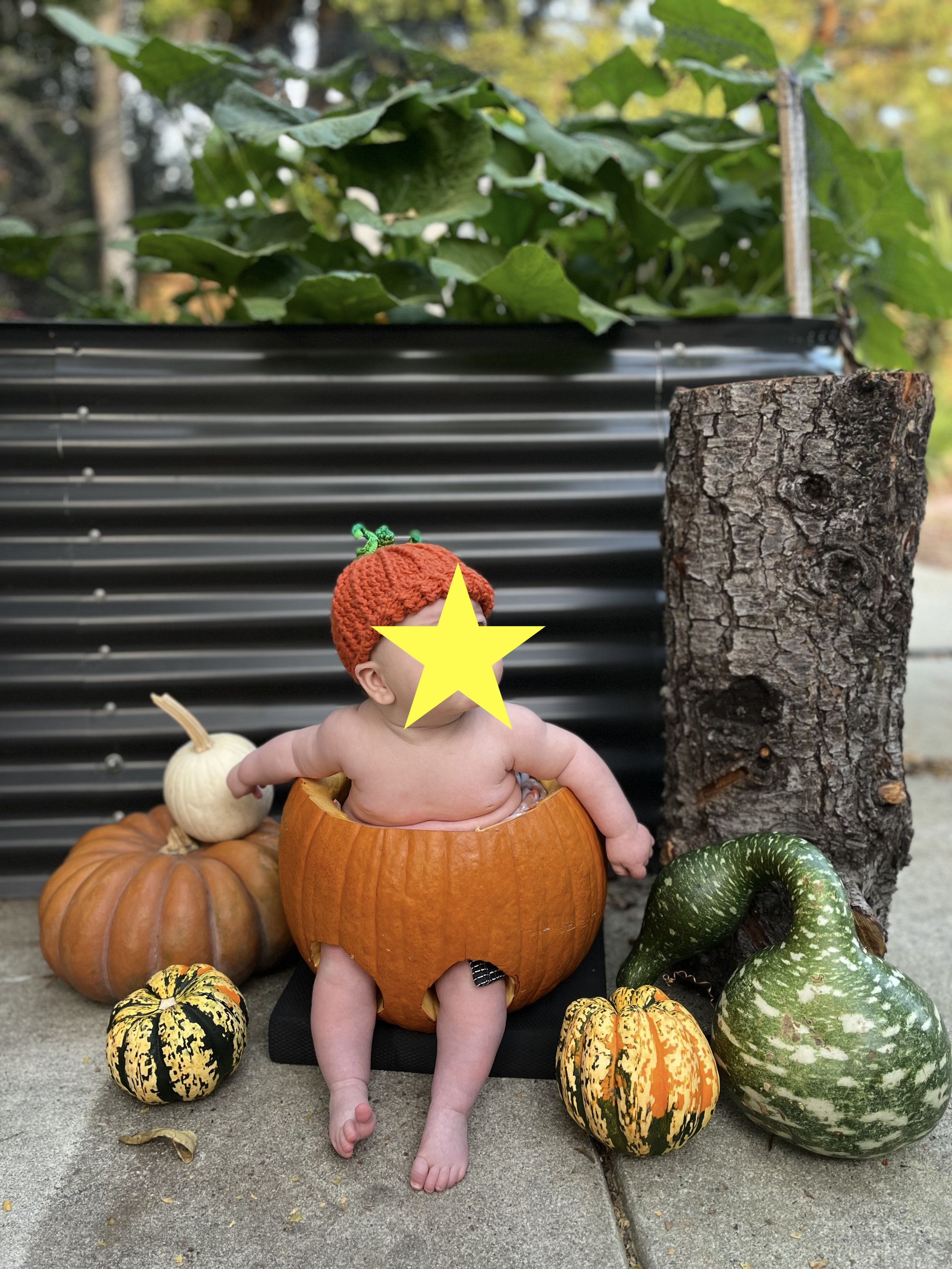 Baby Punkin Beanie