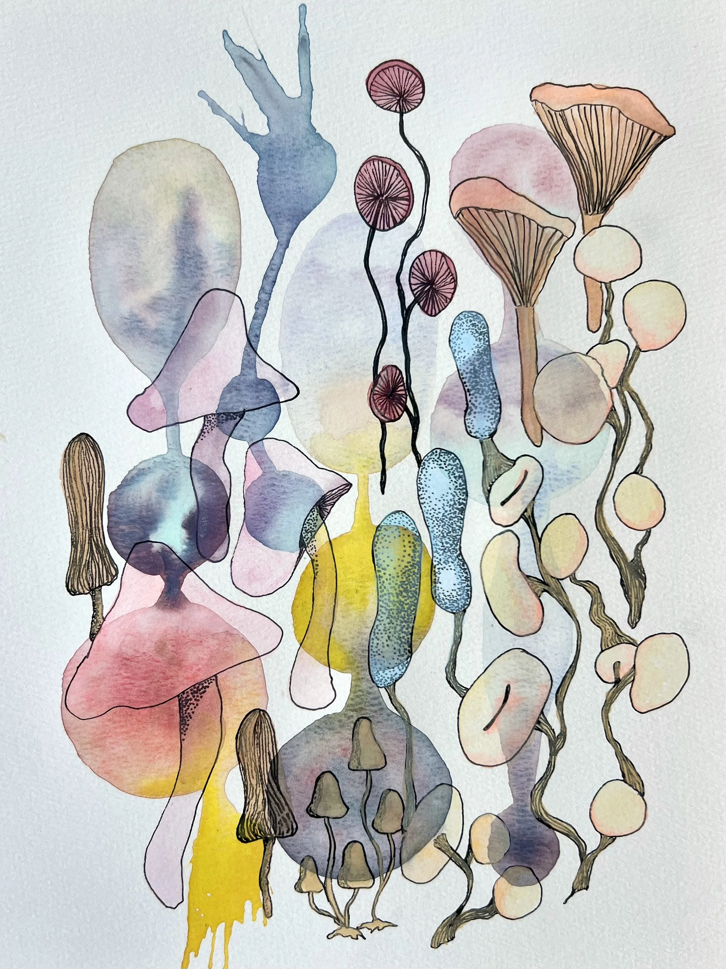 Mushrooms 2. 9x12". Watercolor and ink on paper. 2025.