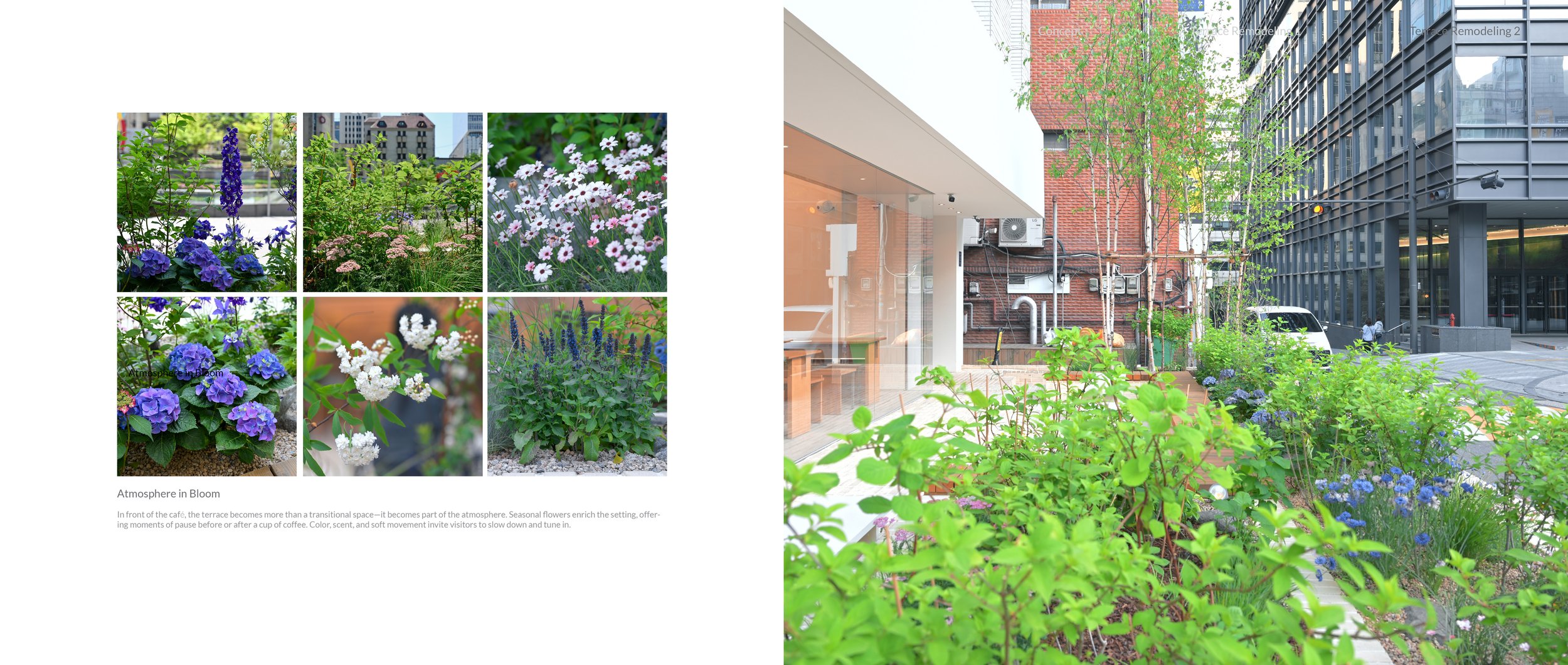 GNM Renovation Design Package_hompage_Terrace_05.jpg