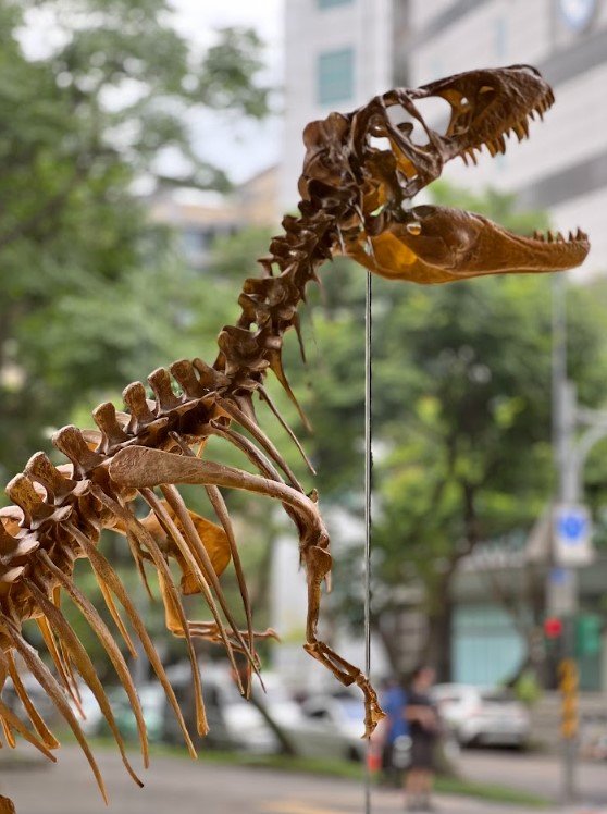 One-To-One Museum Scale Dinosaur Fossil