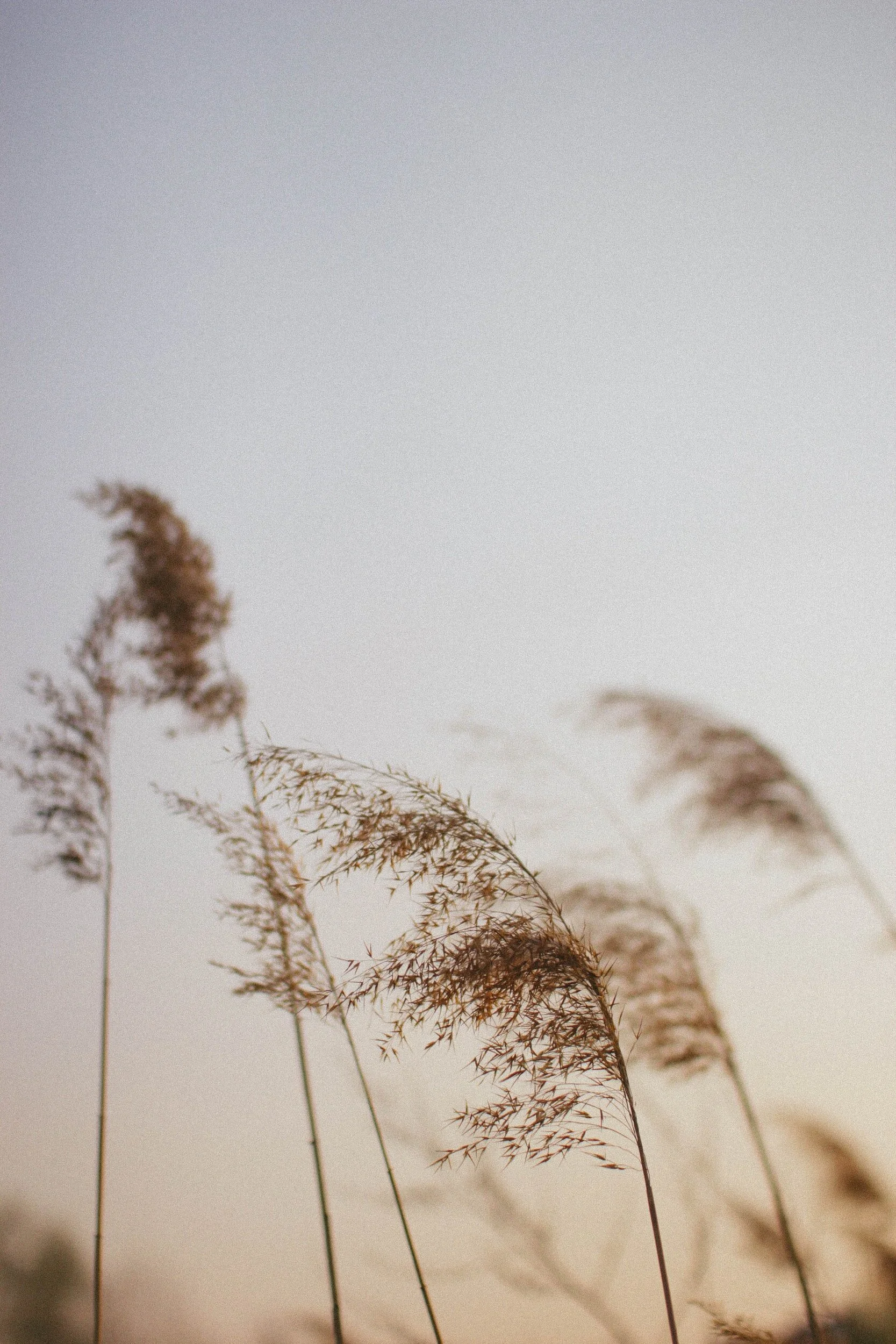 unsplash-image-0ZC4VRG2Vhg.jpg