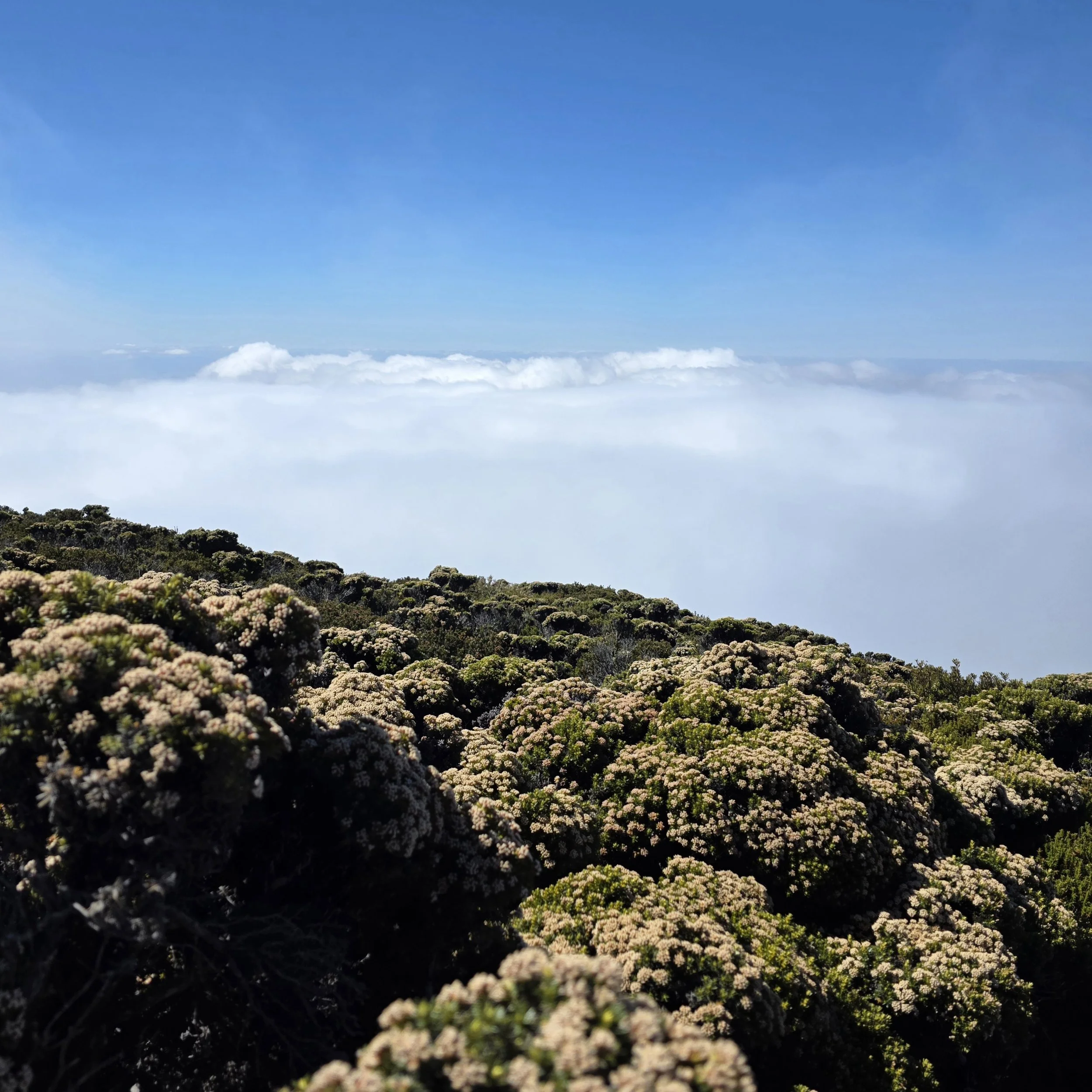 20260303_114524 copy.jpg