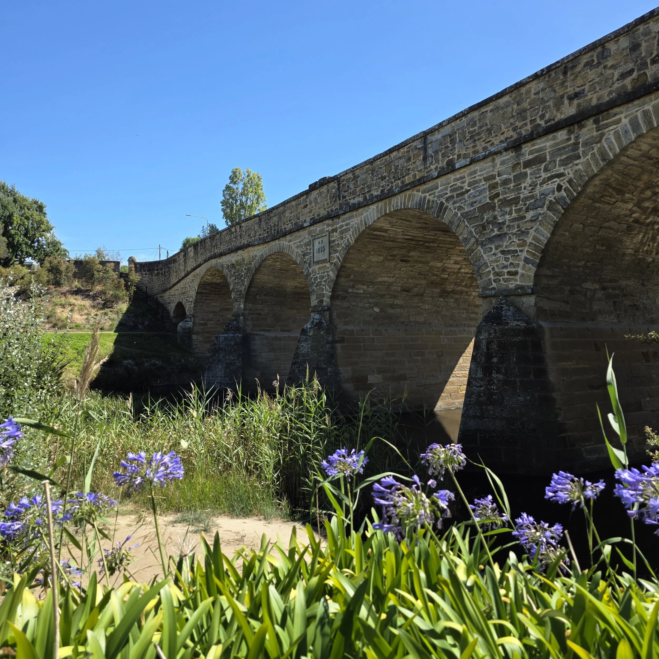 20260304_125916 copy.jpg