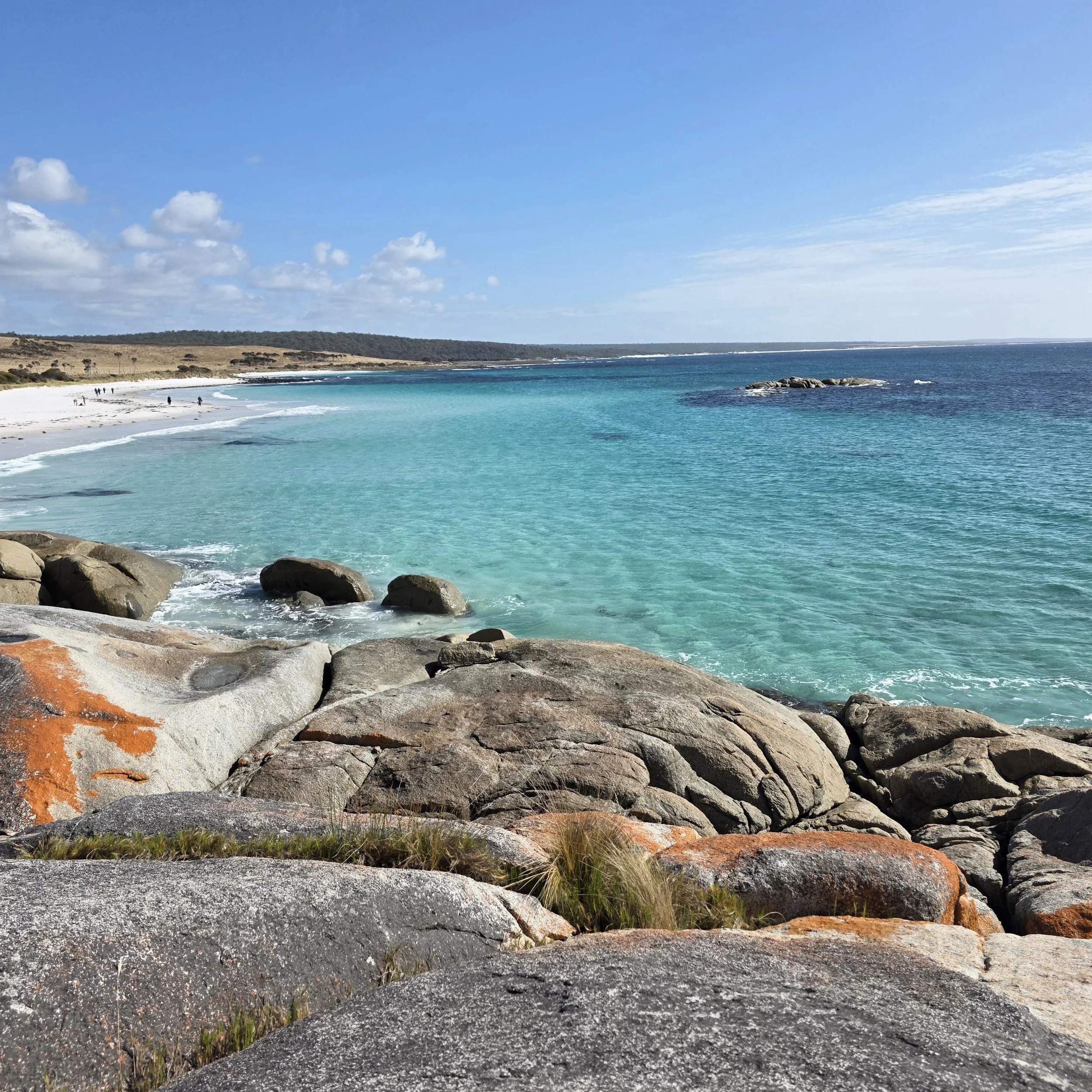 20260308_105416 copy.jpg