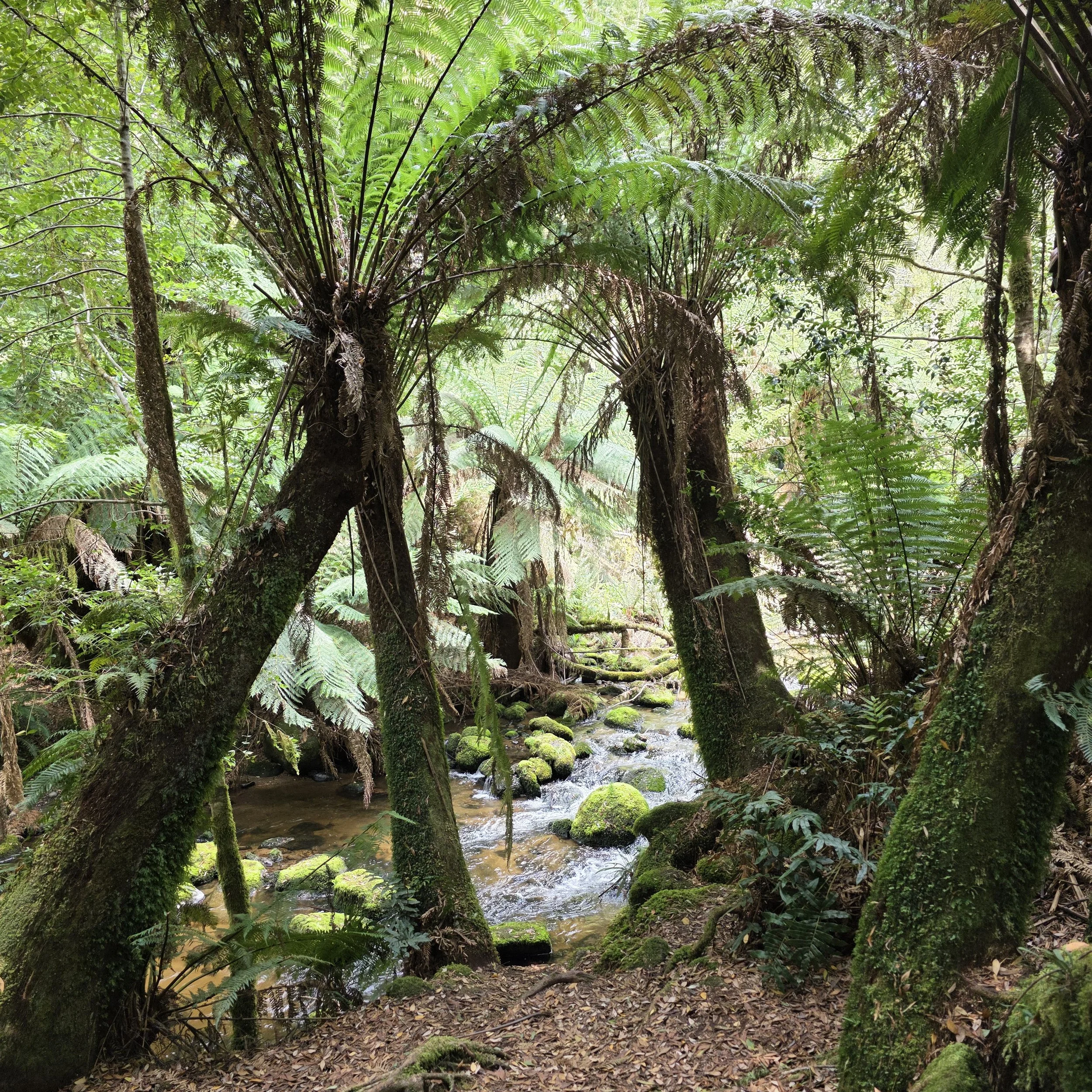 20260308_132425 copy.jpg