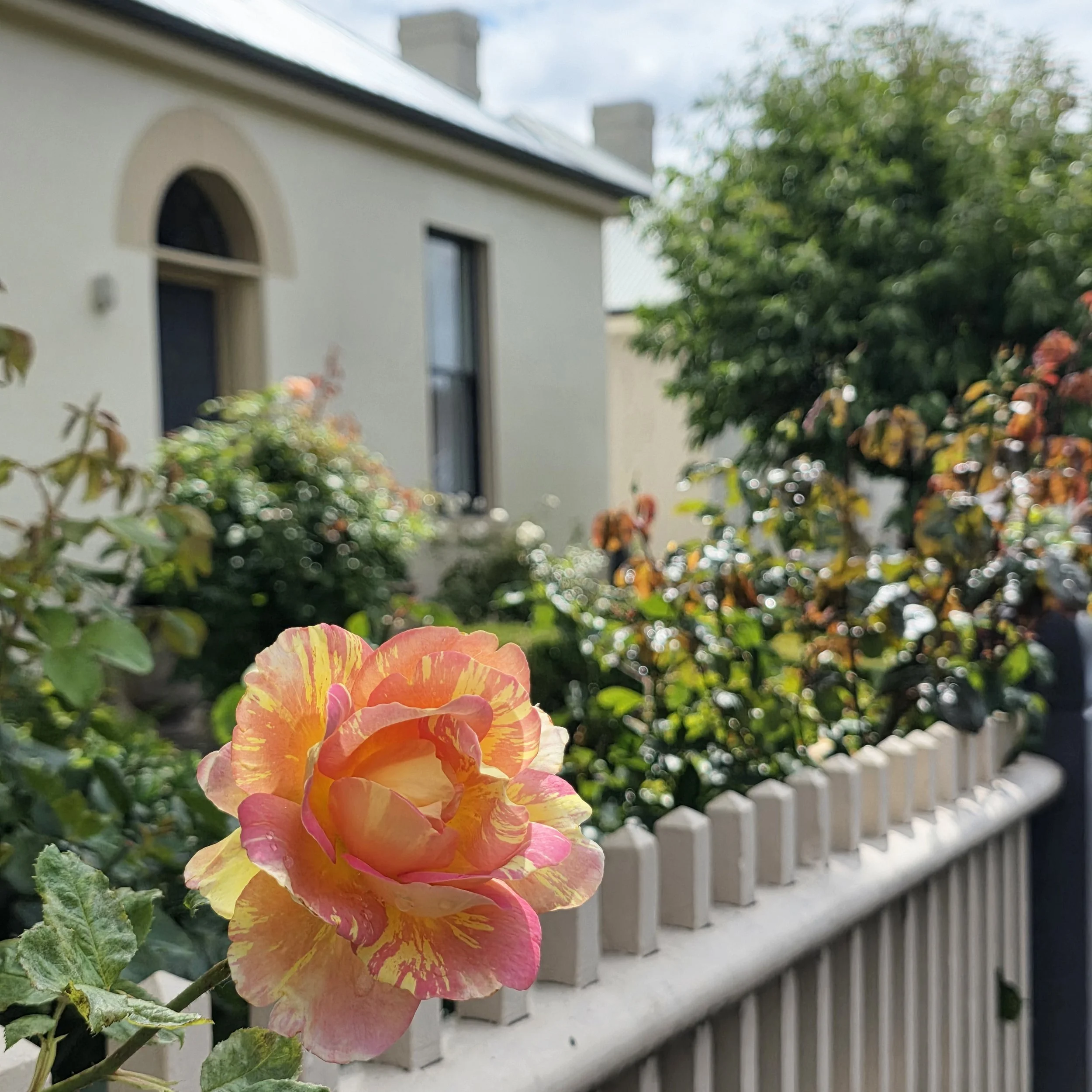 Tasmania, Considered Slowly