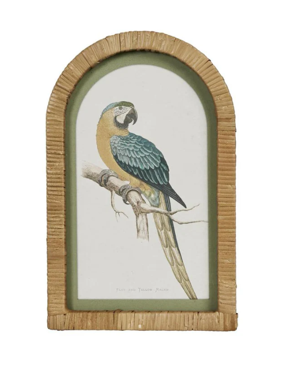 Parrot Wall Art (Set of 2)