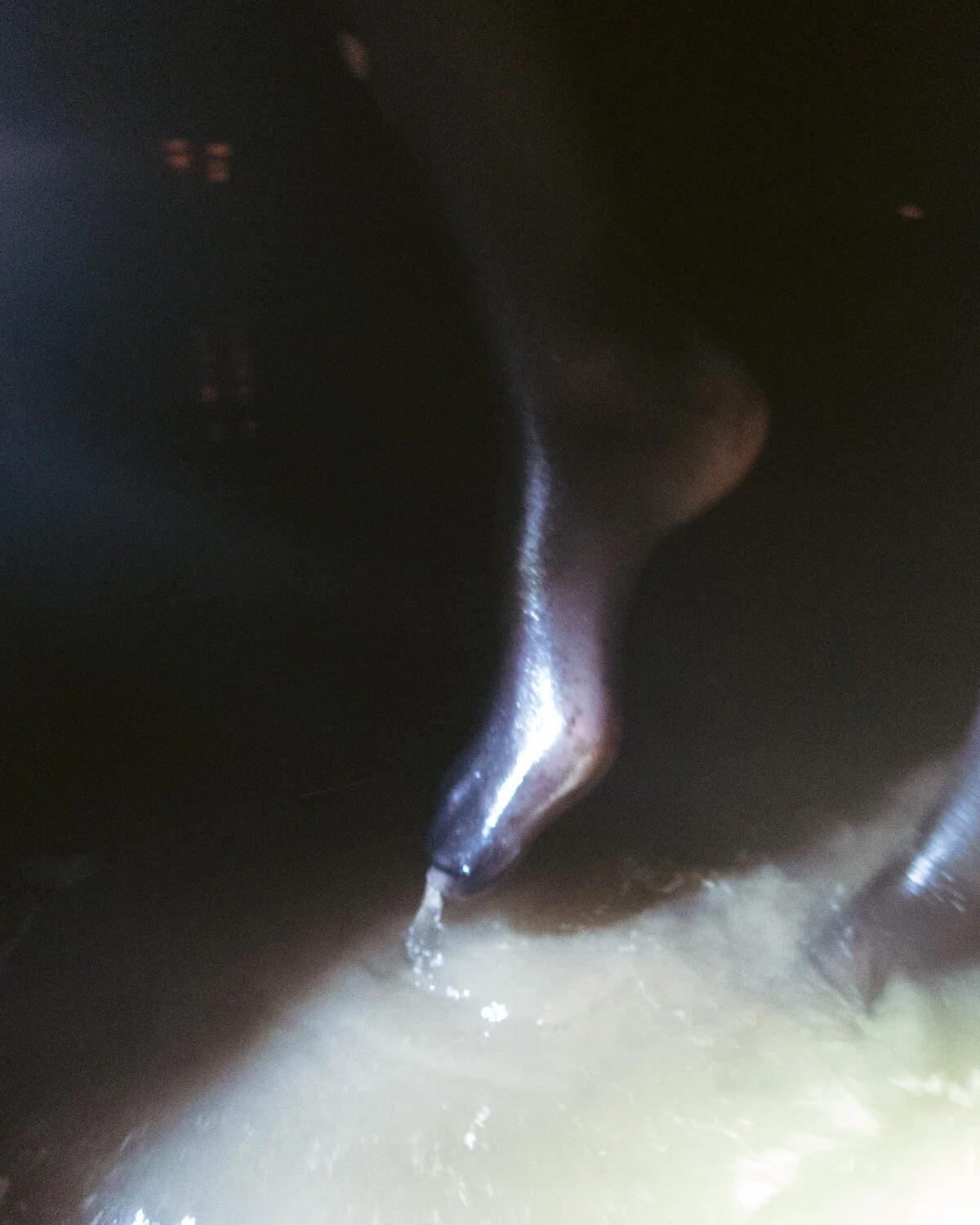 PA040577.jpg