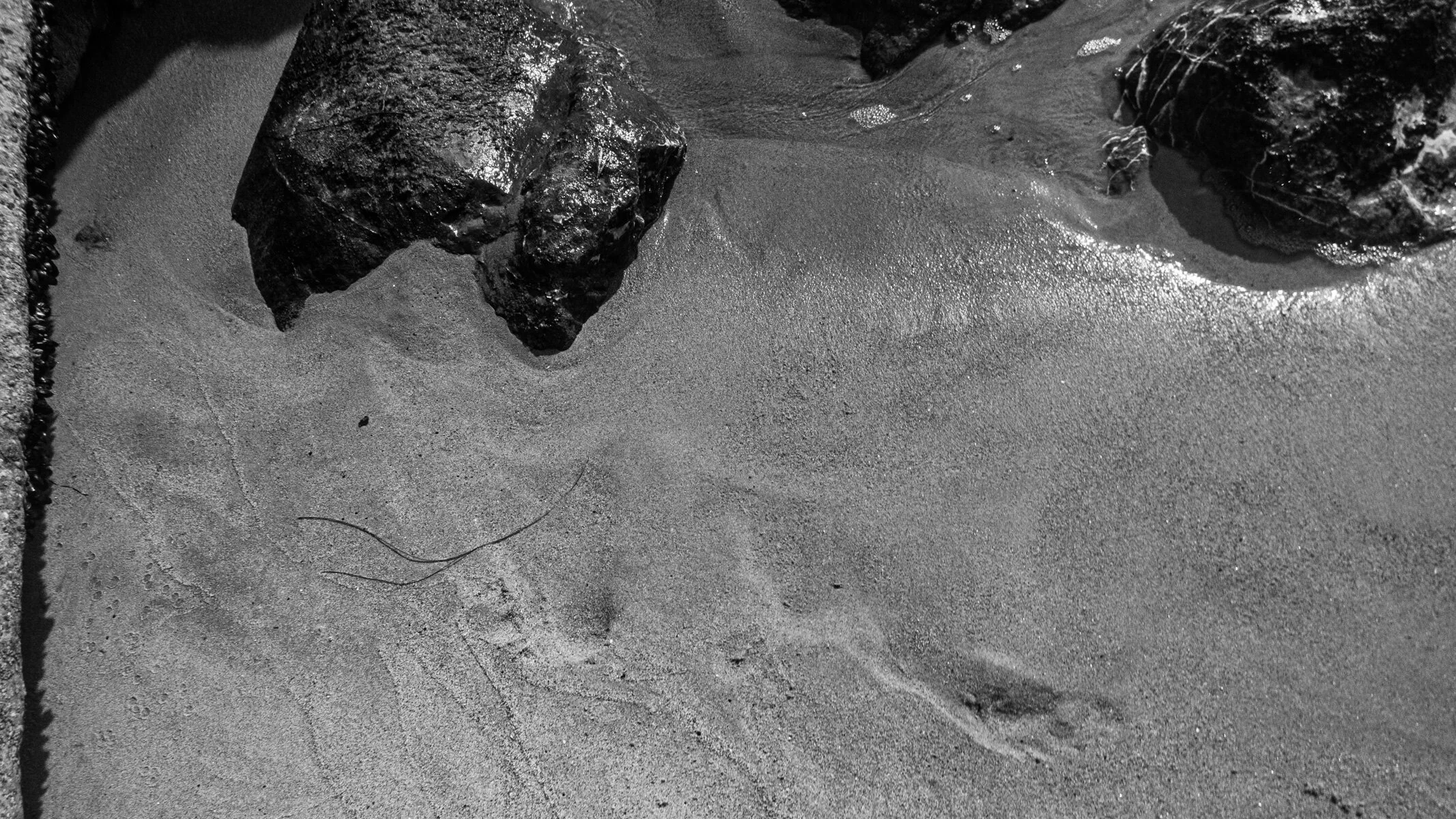 PA060107.jpg