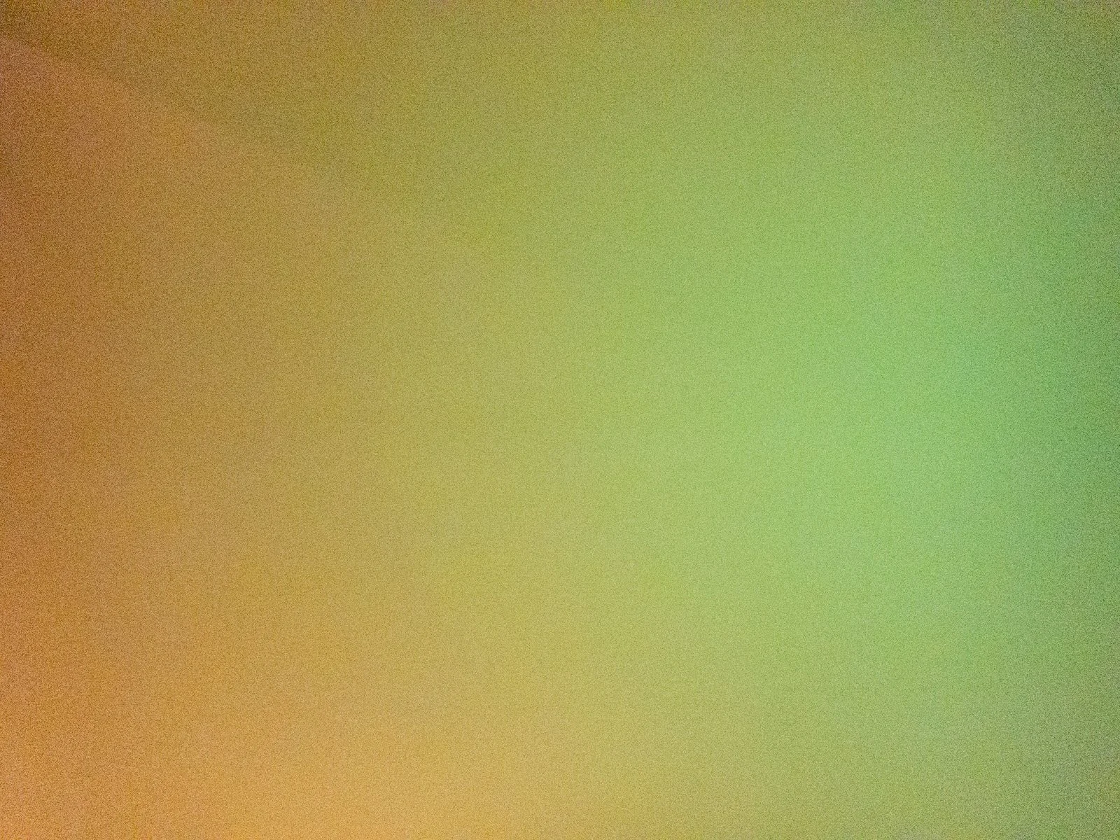 PA240222.jpg