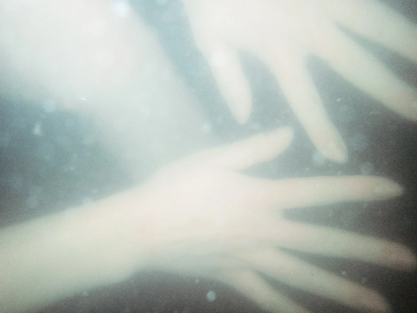 OBMD0919.jpg