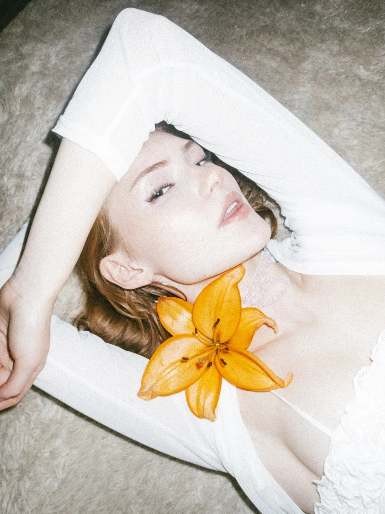 POLY1511.jpg