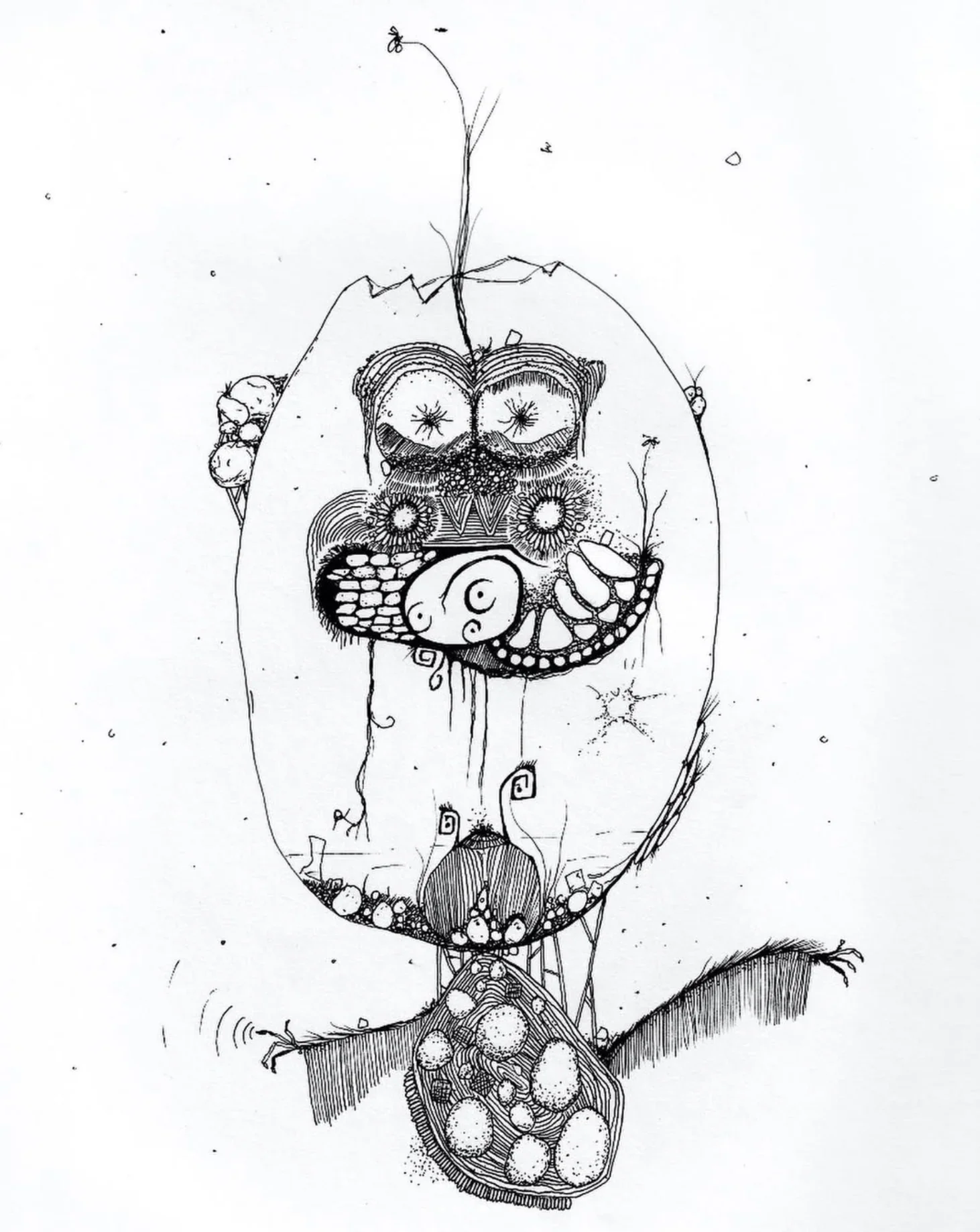 The Comedian