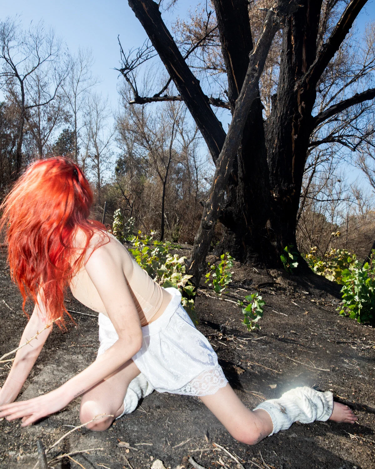 MichaelDonovan Photography22.jpg