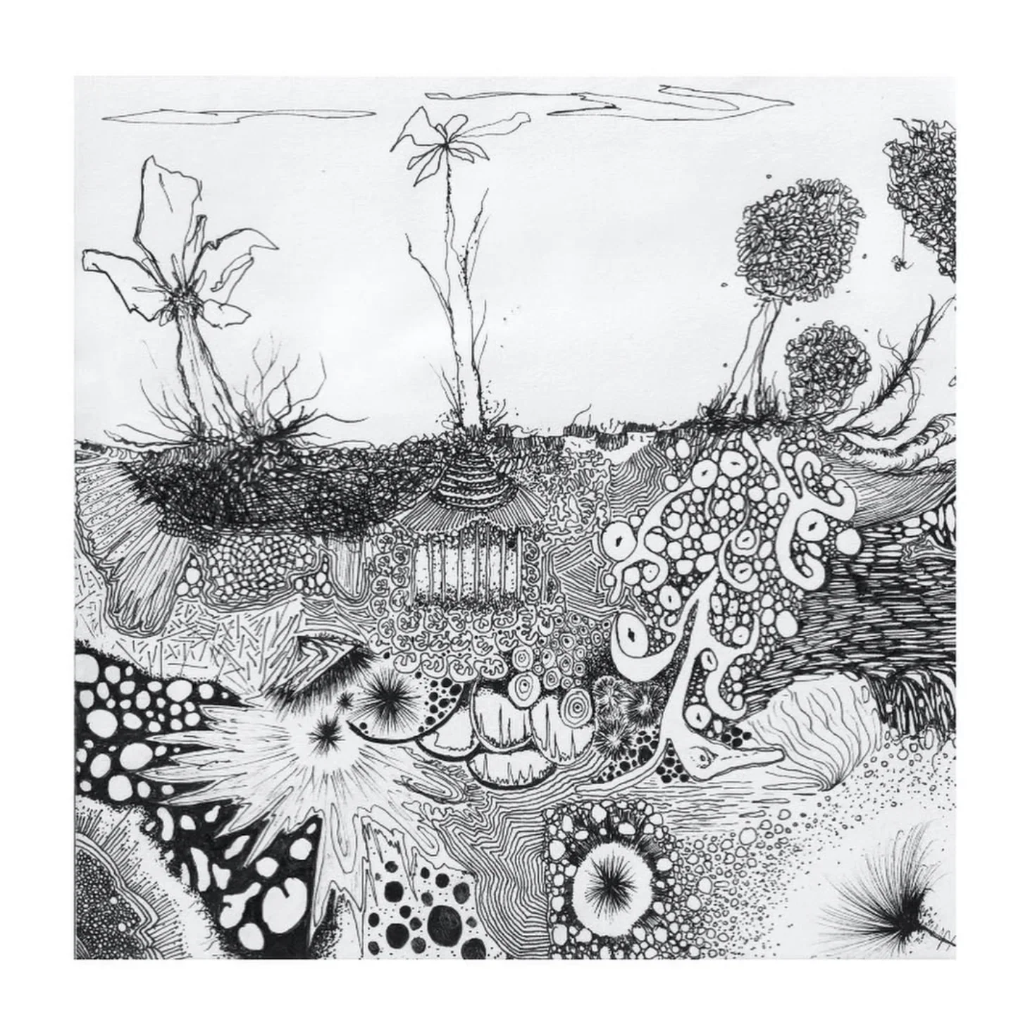 As a Seed