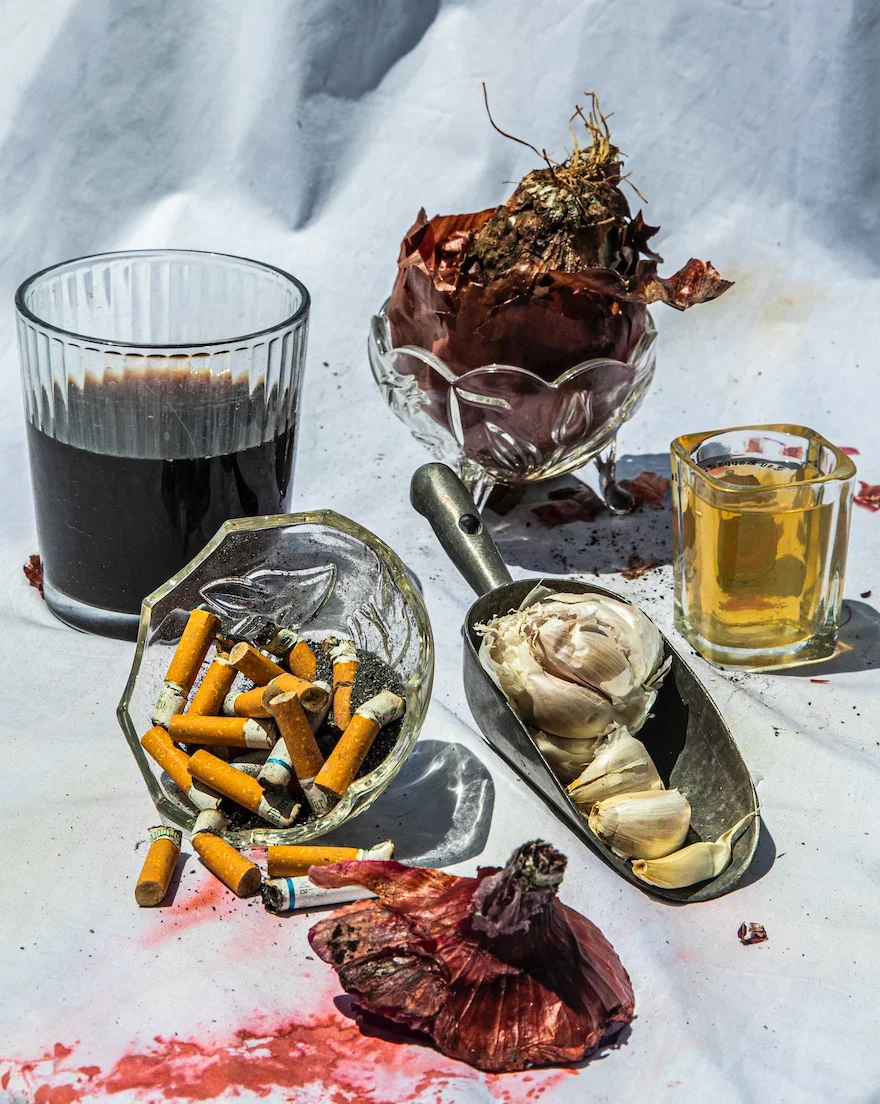Foodie3.png.webp