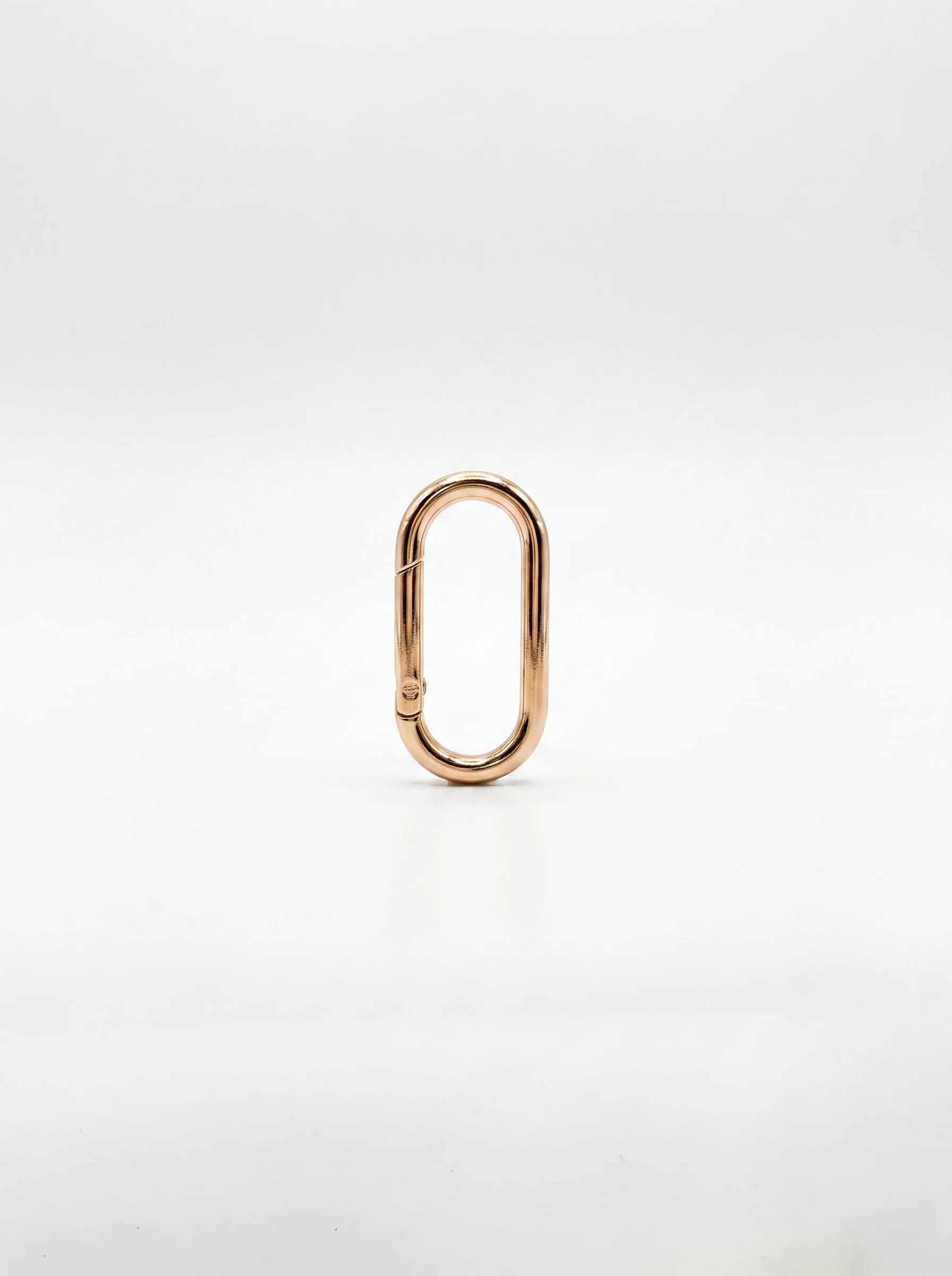 gold-clasp-white-studio.jpg