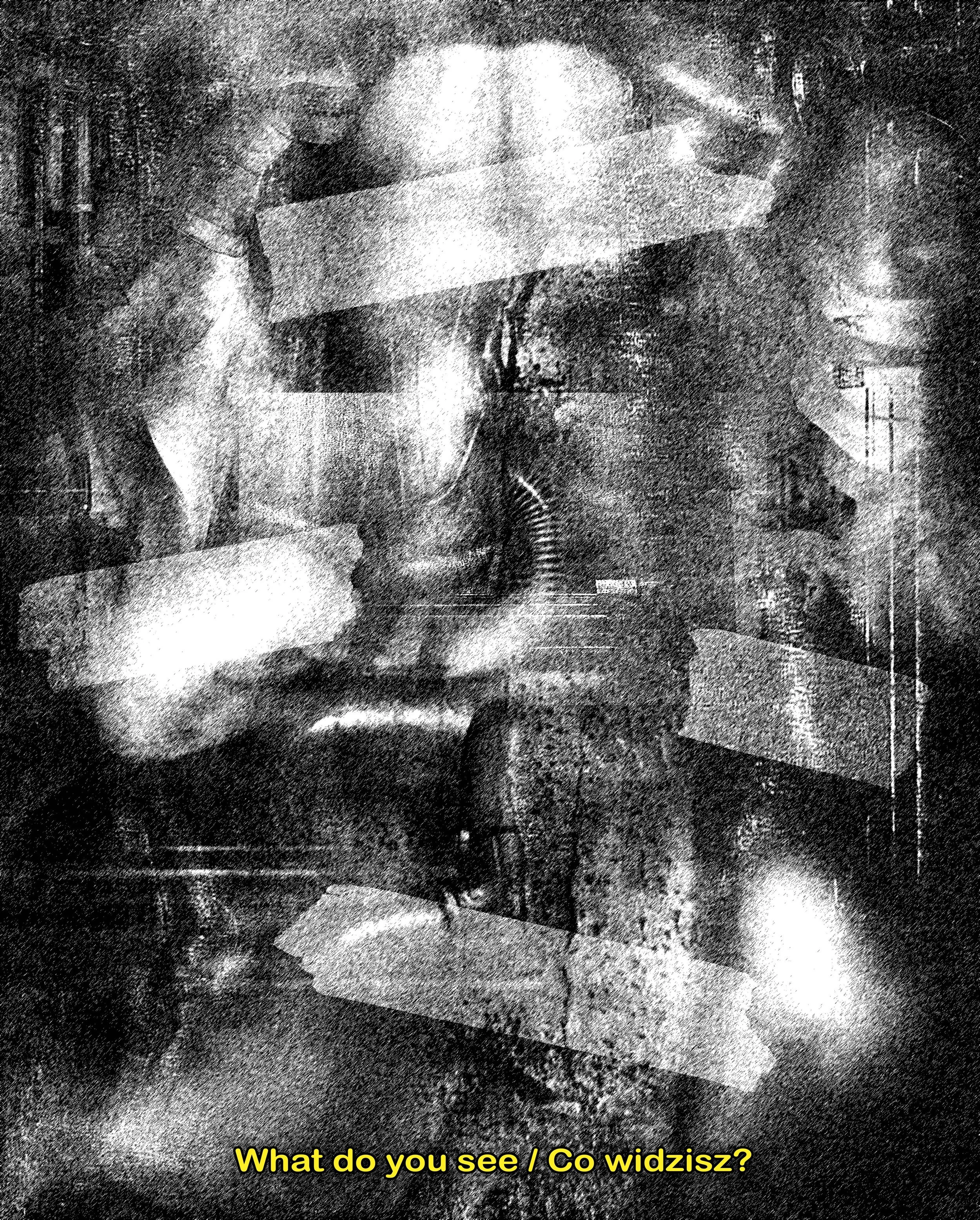 What do you see / Co widzisz?