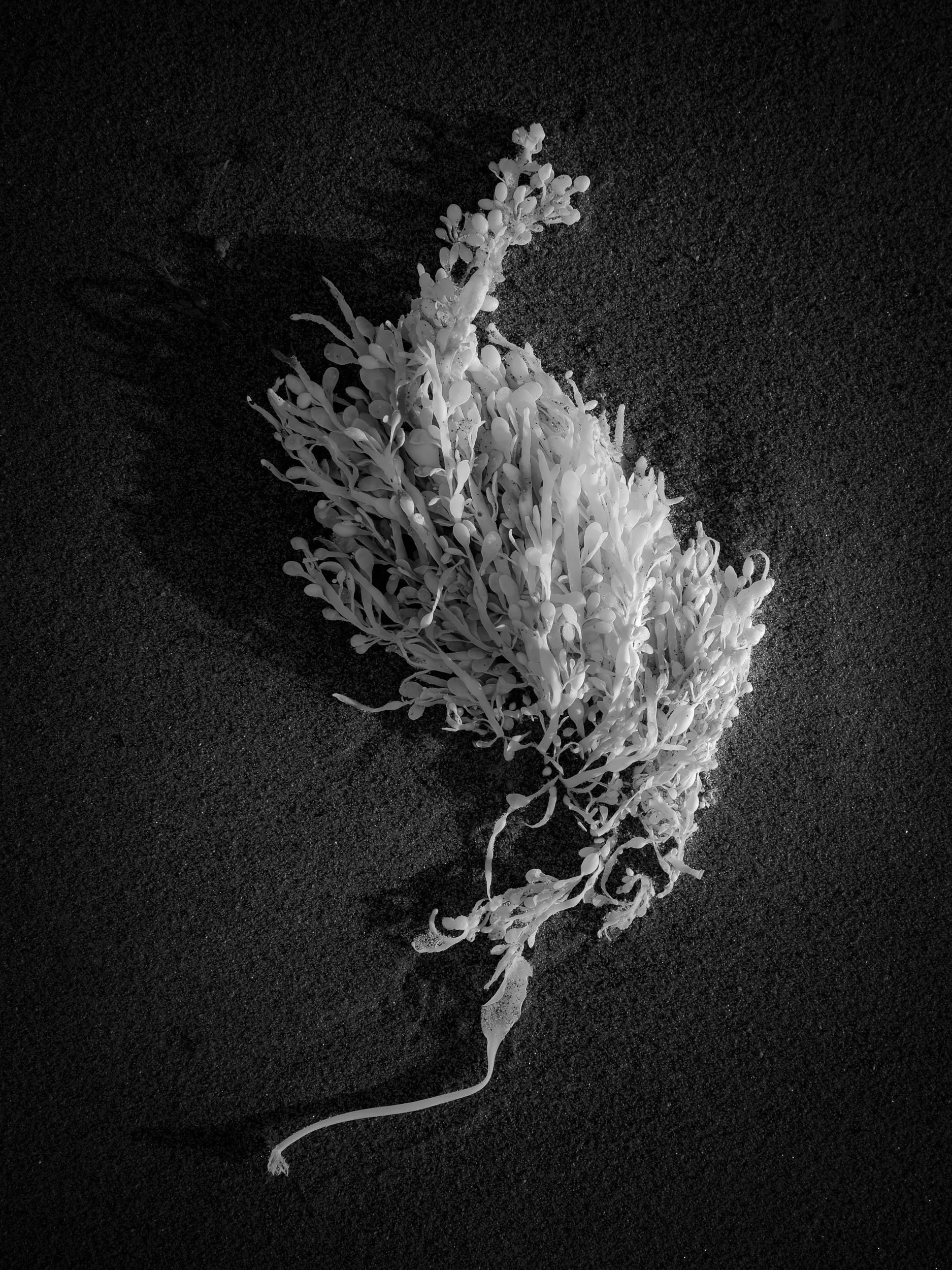 X-T3-20260328-DSCF0236.jpg