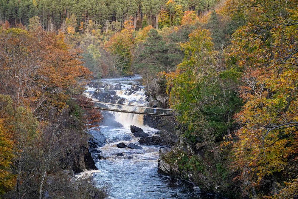 Rogie Falls