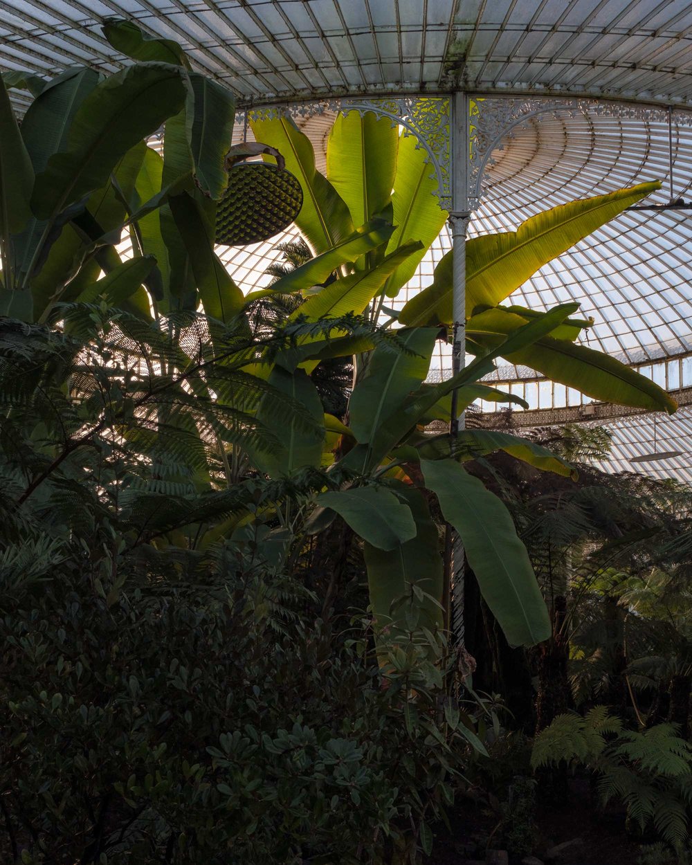 Kibble Palace Interior