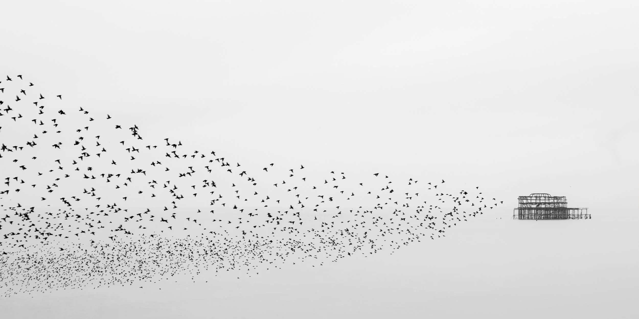 X-T5-20260203-DSCF8715.jpg
