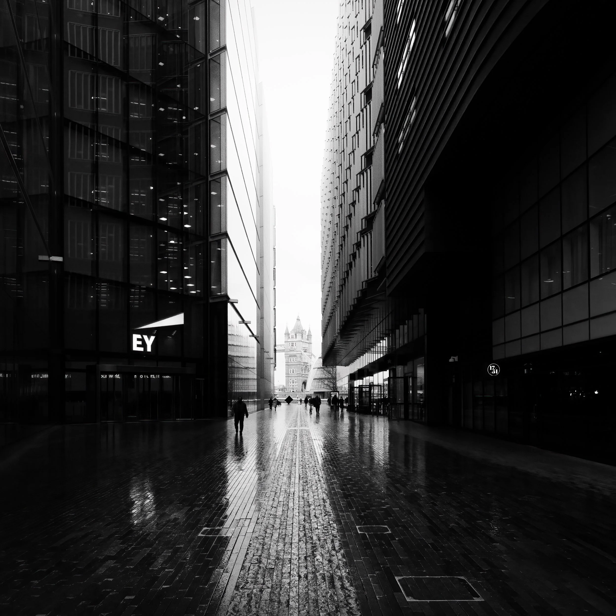 X-Pro3-20250207-DSCF0253+0257.jpg