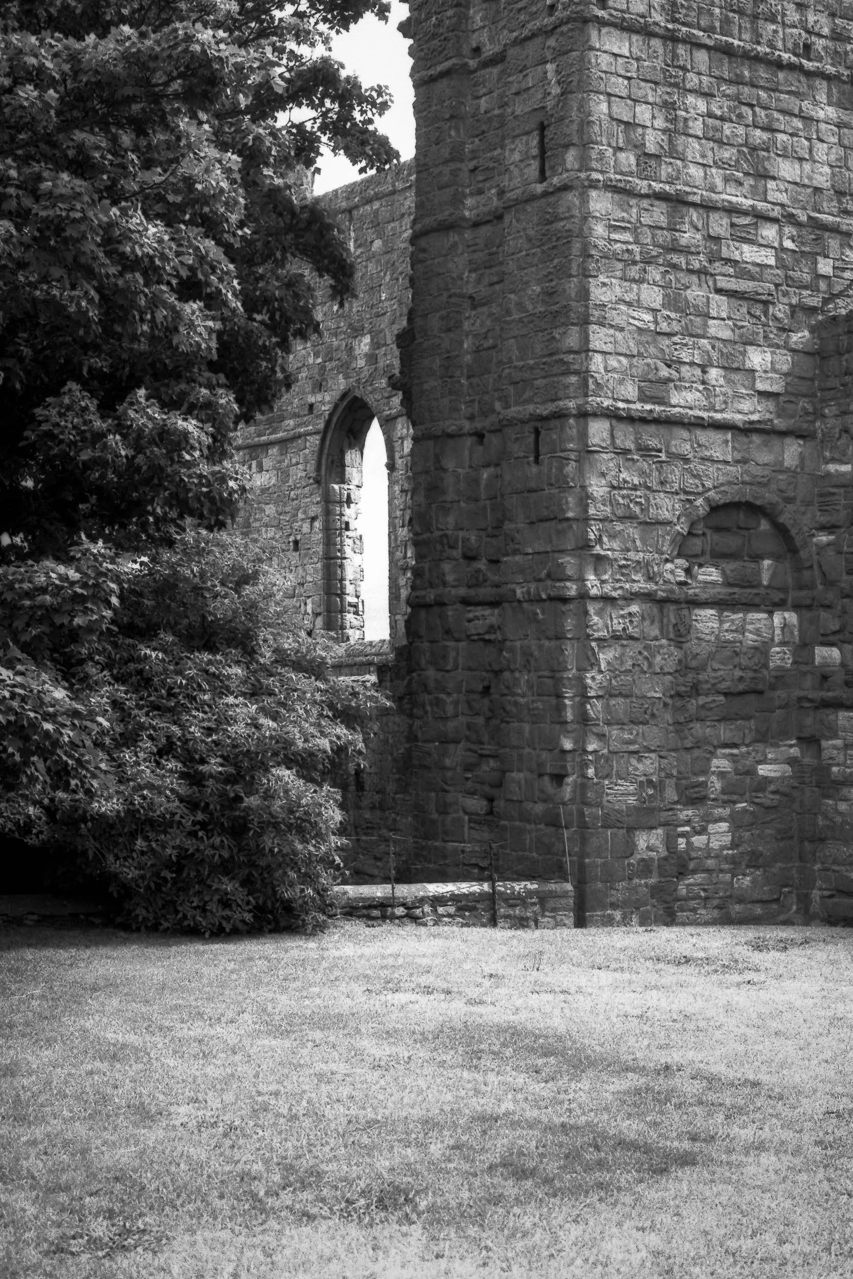 IlfordFP4-2026-07-27-Scan07.jpg