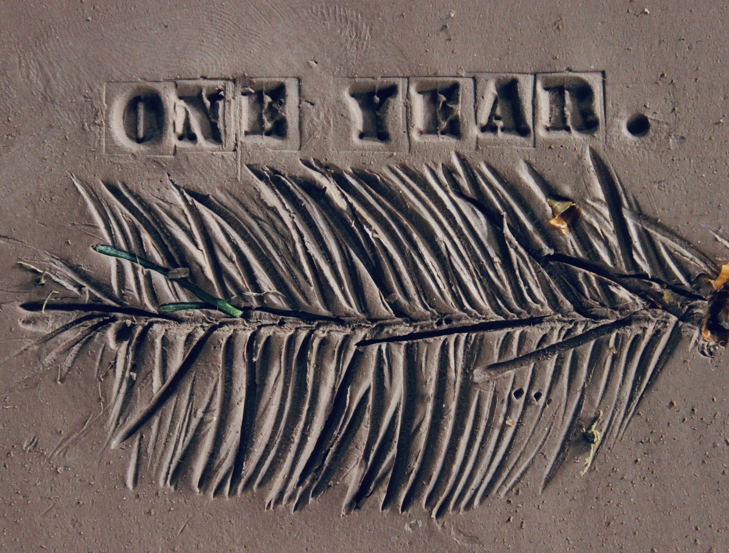 Ceramic Studio Membership 1 Year