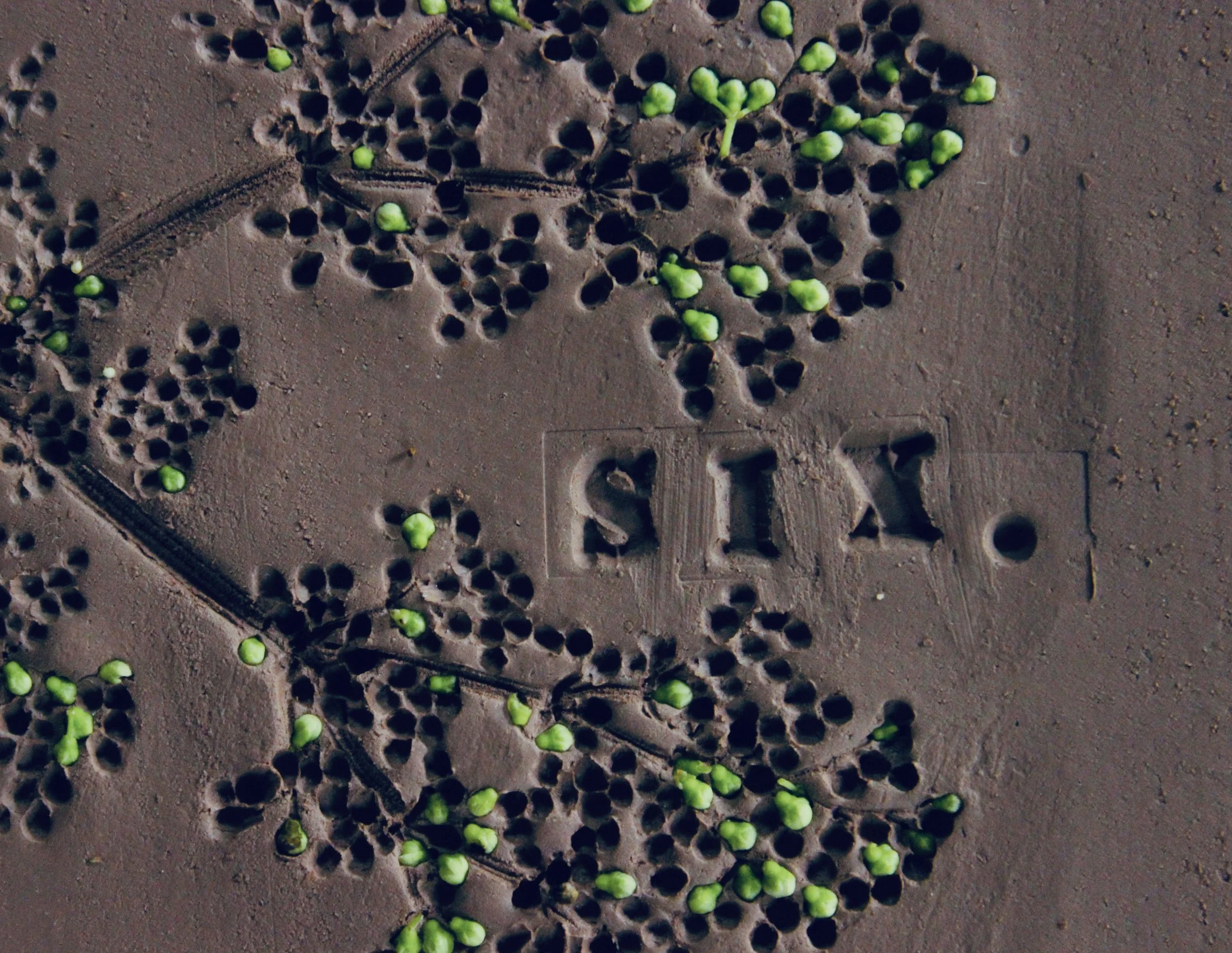 Ceramic Studio Membership 6 Month