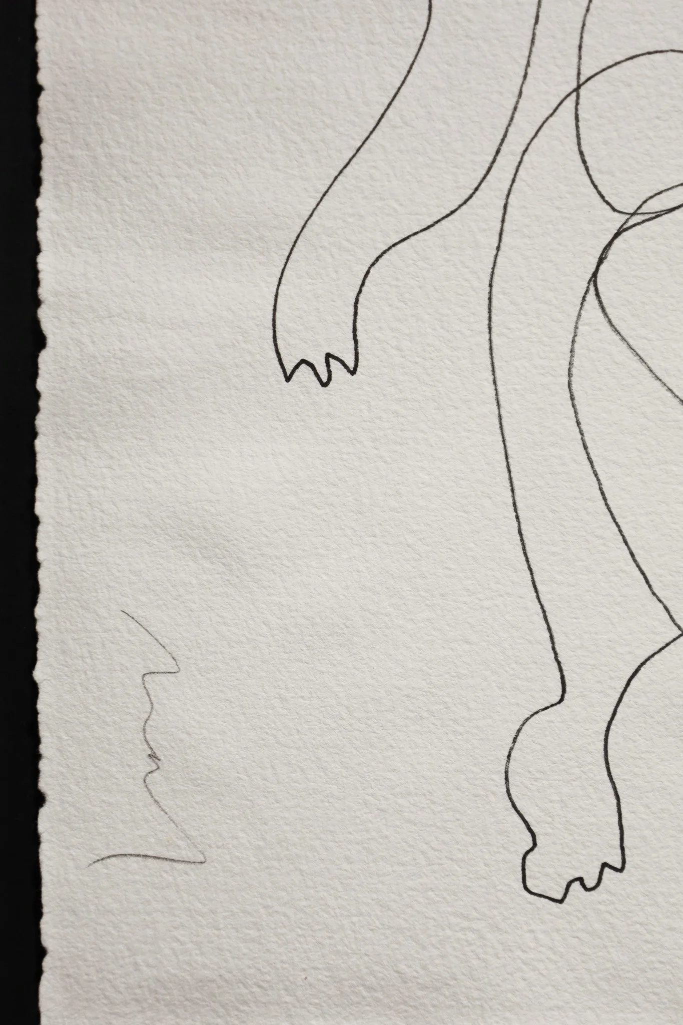 Detalle 2 Piroutte.jpeg