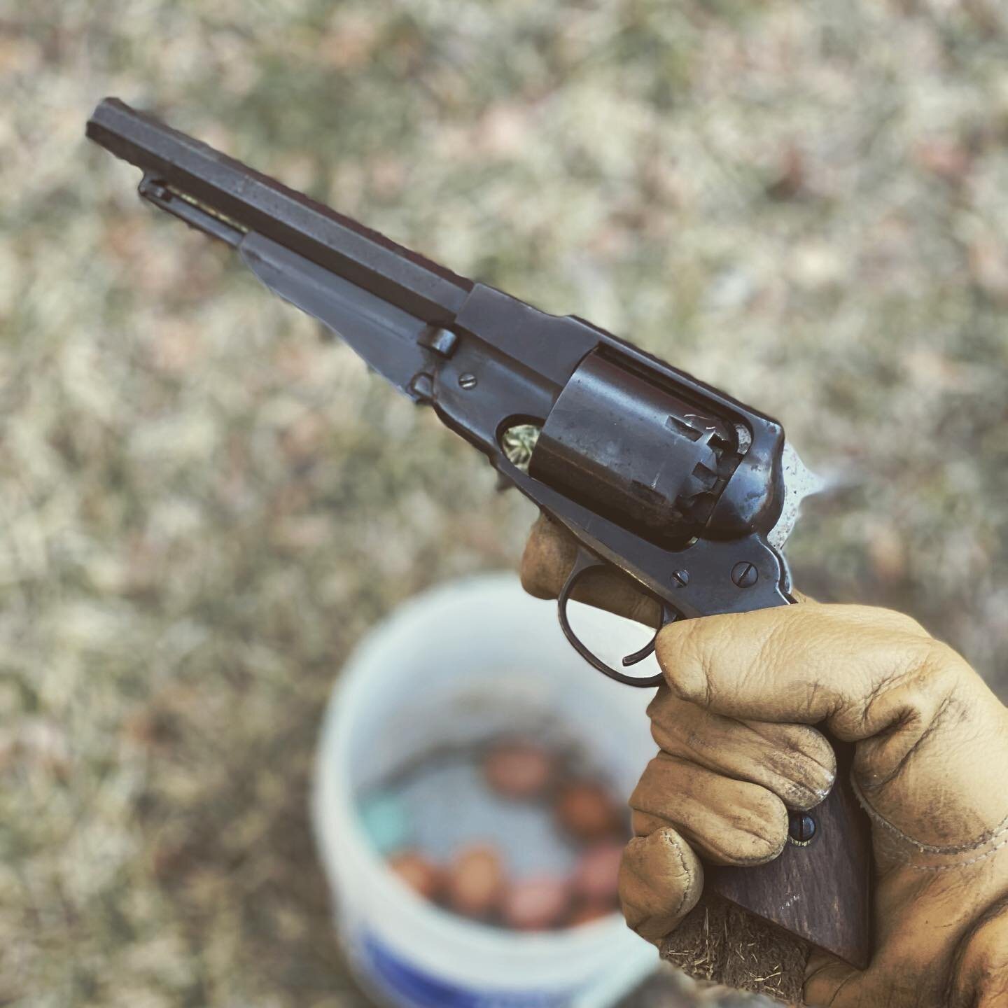 When bandits (raccoons) are after your retirement plan (eggs), ya gotta go Wild West style on em. Theoretically. 

#capandball #muzzleloader #sixshooter #blackpowder #bloodmeridian #euroarms #oldwest #wildwest #egg