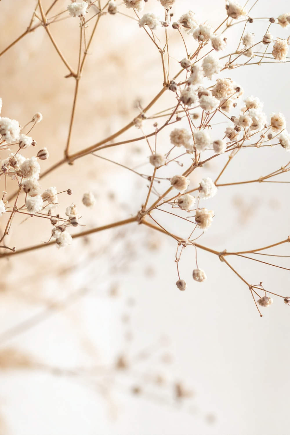 Where did you take your first breath?