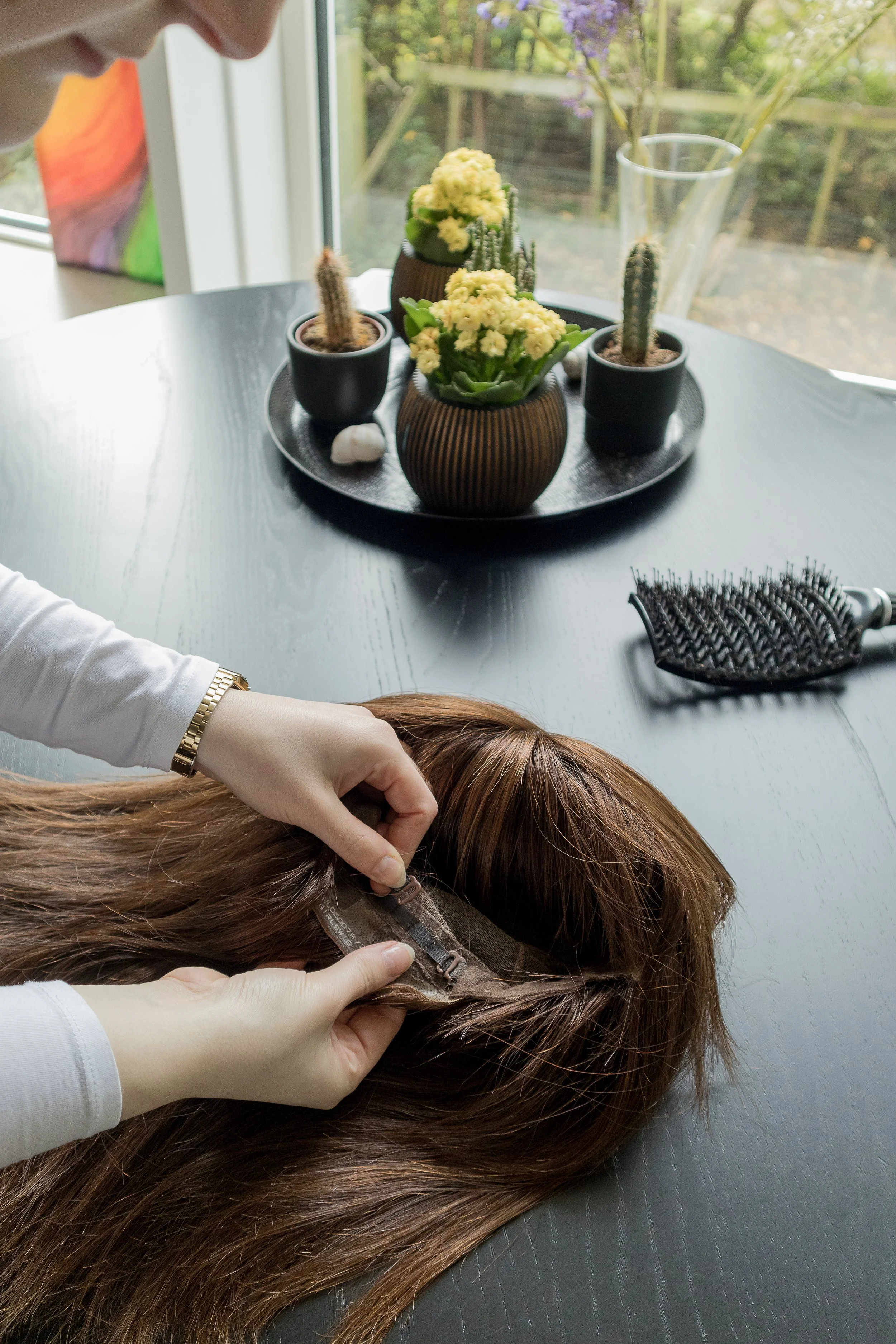 Alopecia updated-1186.jpg