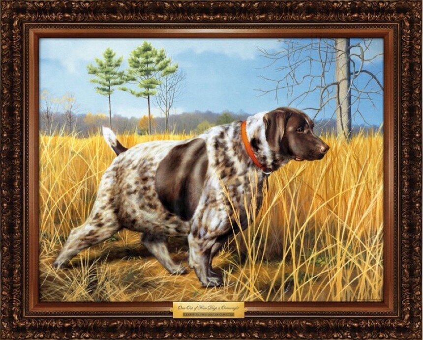 CF_Spaniel_LG.jpg