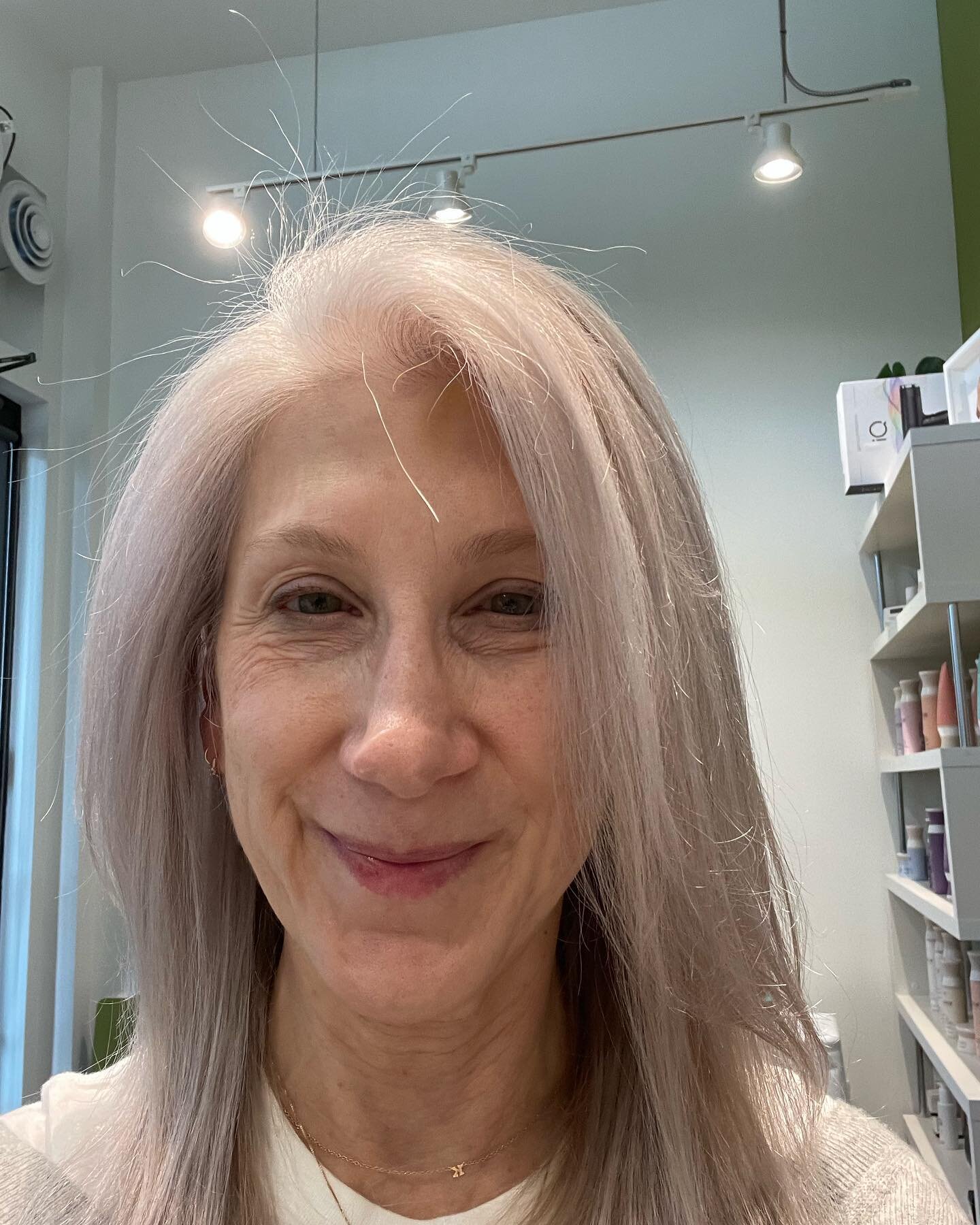 Twin inspired silver hair&hellip;I&rsquo;m ready! #karenreicherthairstylist #krhairseattle #davinescolor #davinesview #silversisters #twinsisters