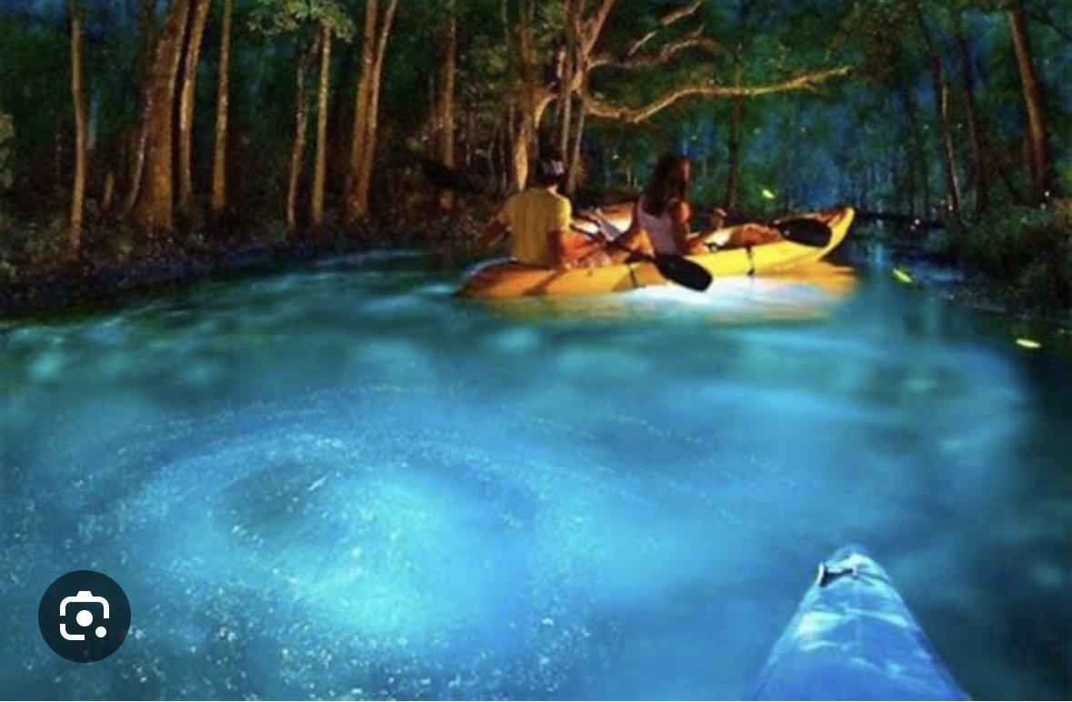 Bio kayaking Puerto Rico .jpeg