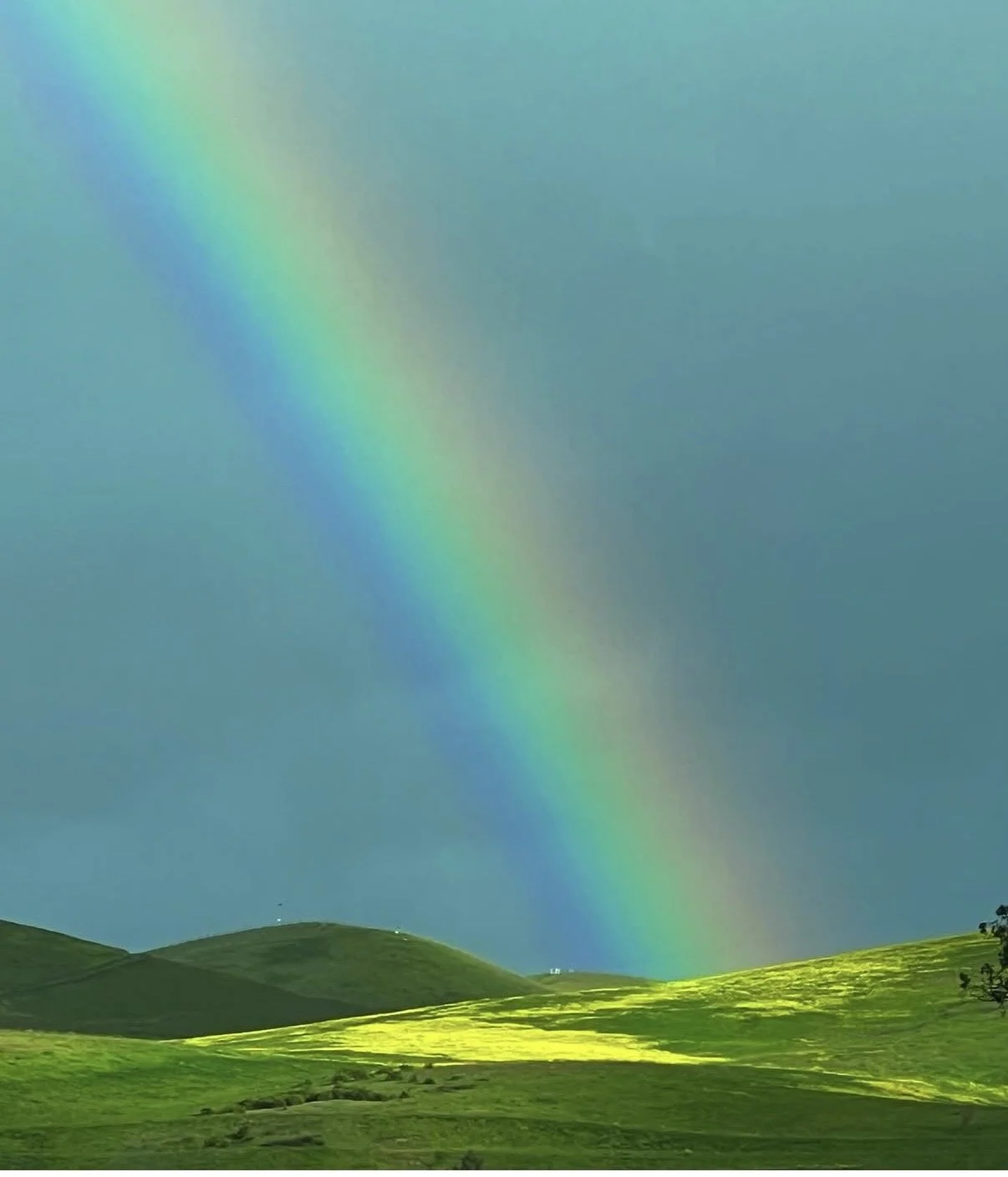 Paicines Rainbow.jpg
