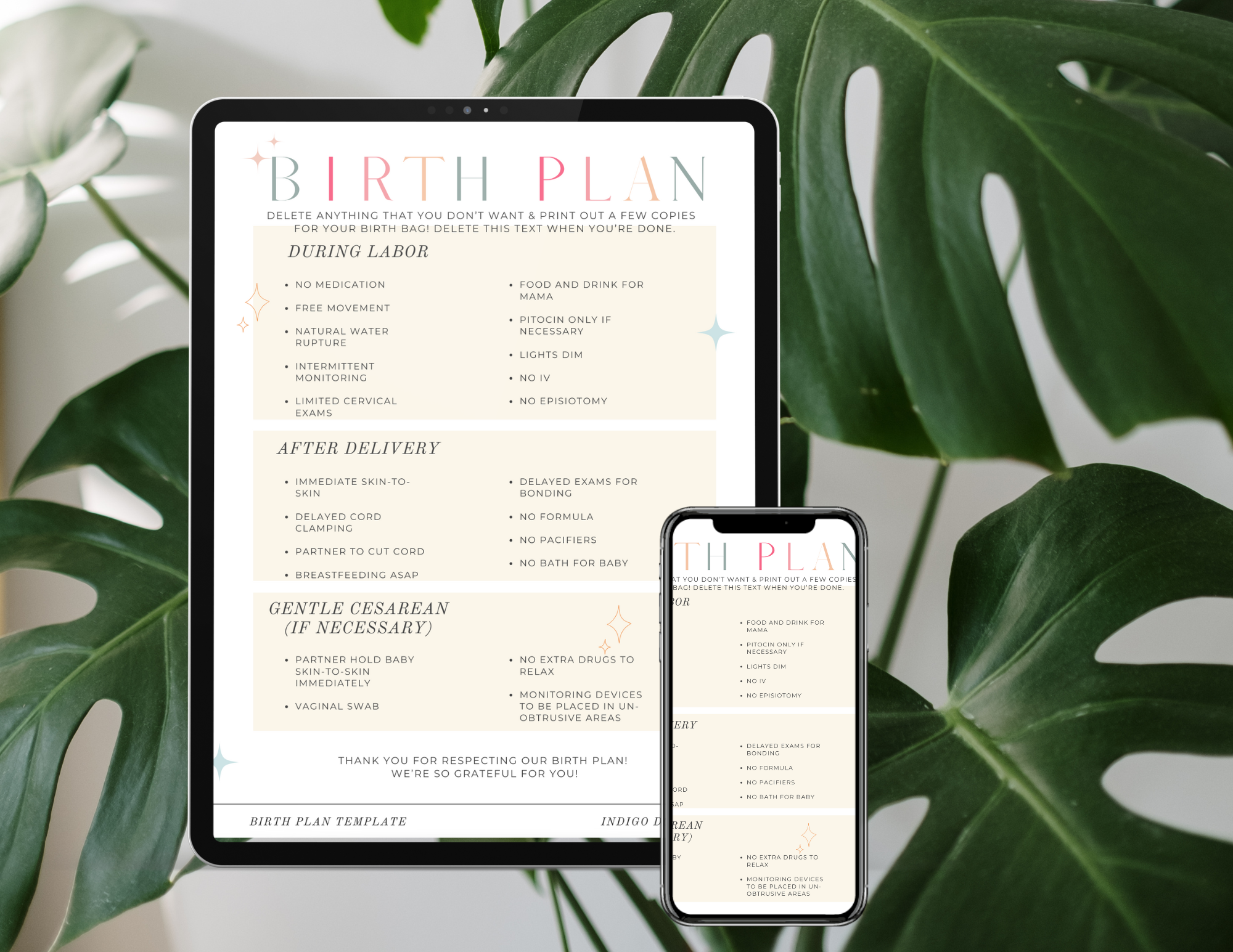 Birth Plan on Tablet.png