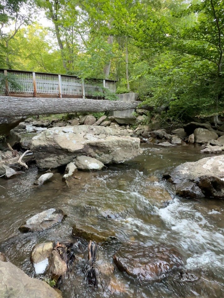 June ☀️🍉🌊

1. Cunningham Falls
2. Whoever did this deserves all good things 🥲
3. A beautiful home birth
4. My homemade whipped tallow deserved a spot on my feed lol
5. A double rainbow during Savasana
6. Cunningham Falls again
7. 🔥🧡