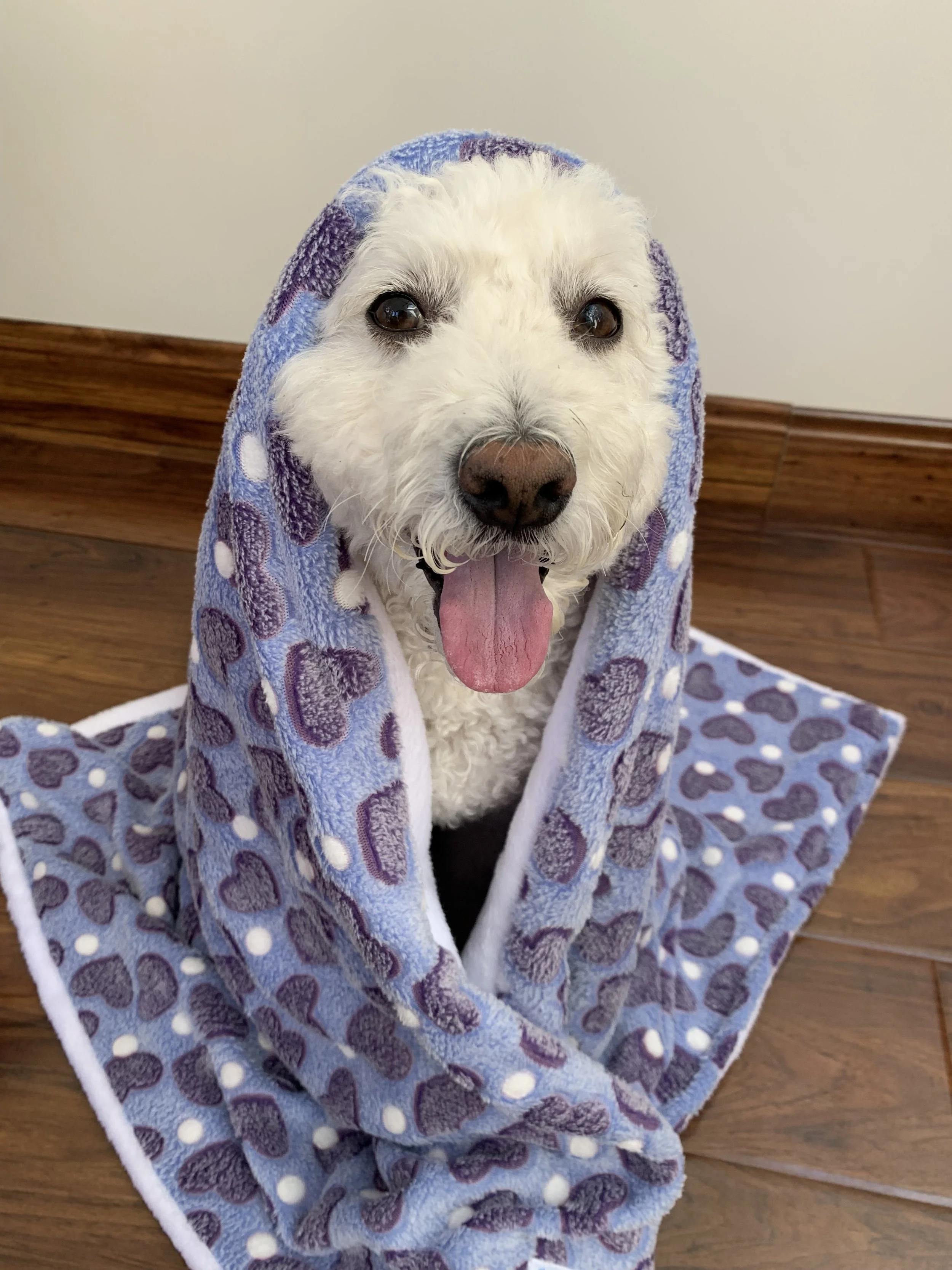 Sale Blankets & Pillows