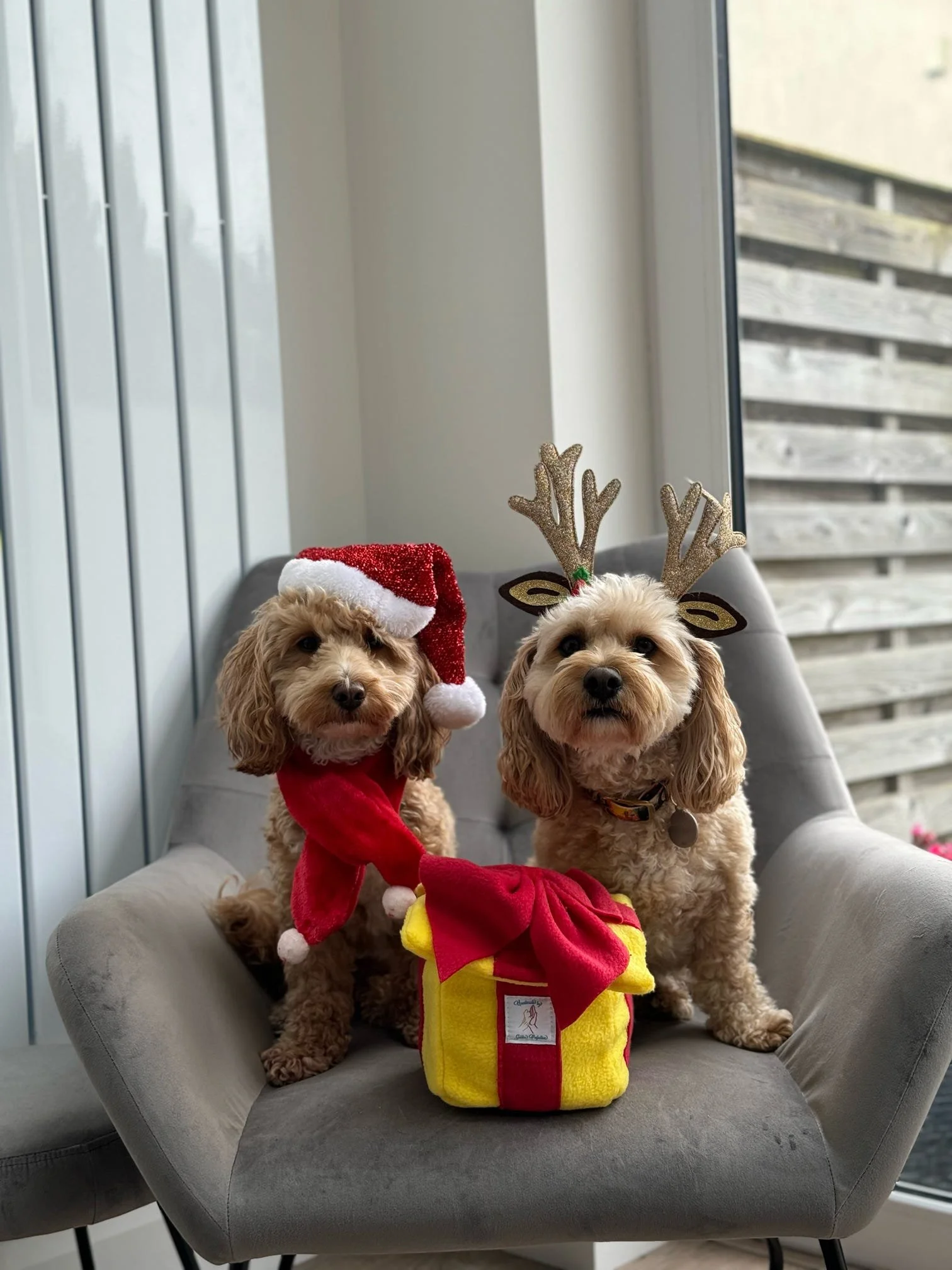 Snuffle Present Snuffle pudding an interactive dog toy for mental stimulation, handmade slow feeder made in Ireland making the perfect local Christmas gift