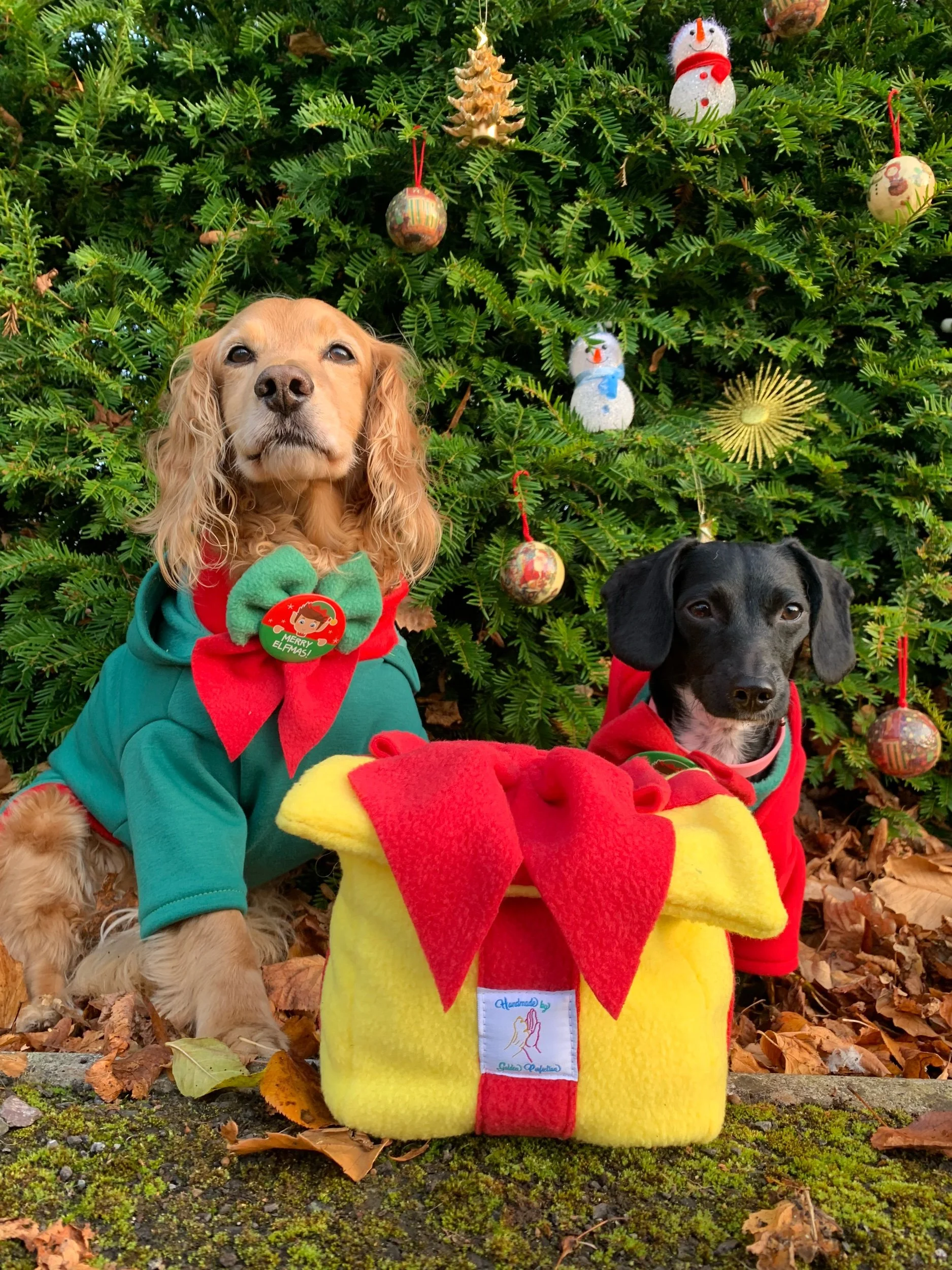 Snuffle Present Snuffle pudding an interactive dog toy for mental stimulation, handmade slow feeder made in Ireland making the perfect local Christmas gift