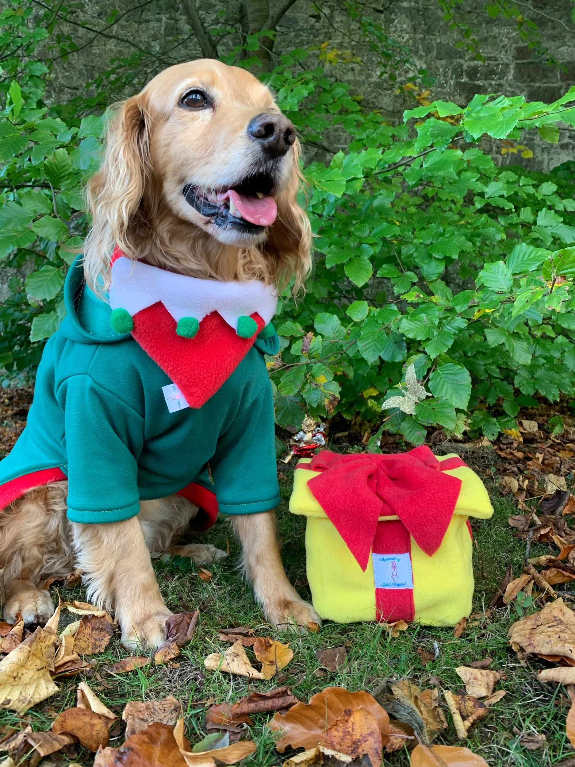 Snuffle Present Snuffle pudding an interactive dog toy for mental stimulation, handmade slow feeder made in Ireland making the perfect local Christmas gift