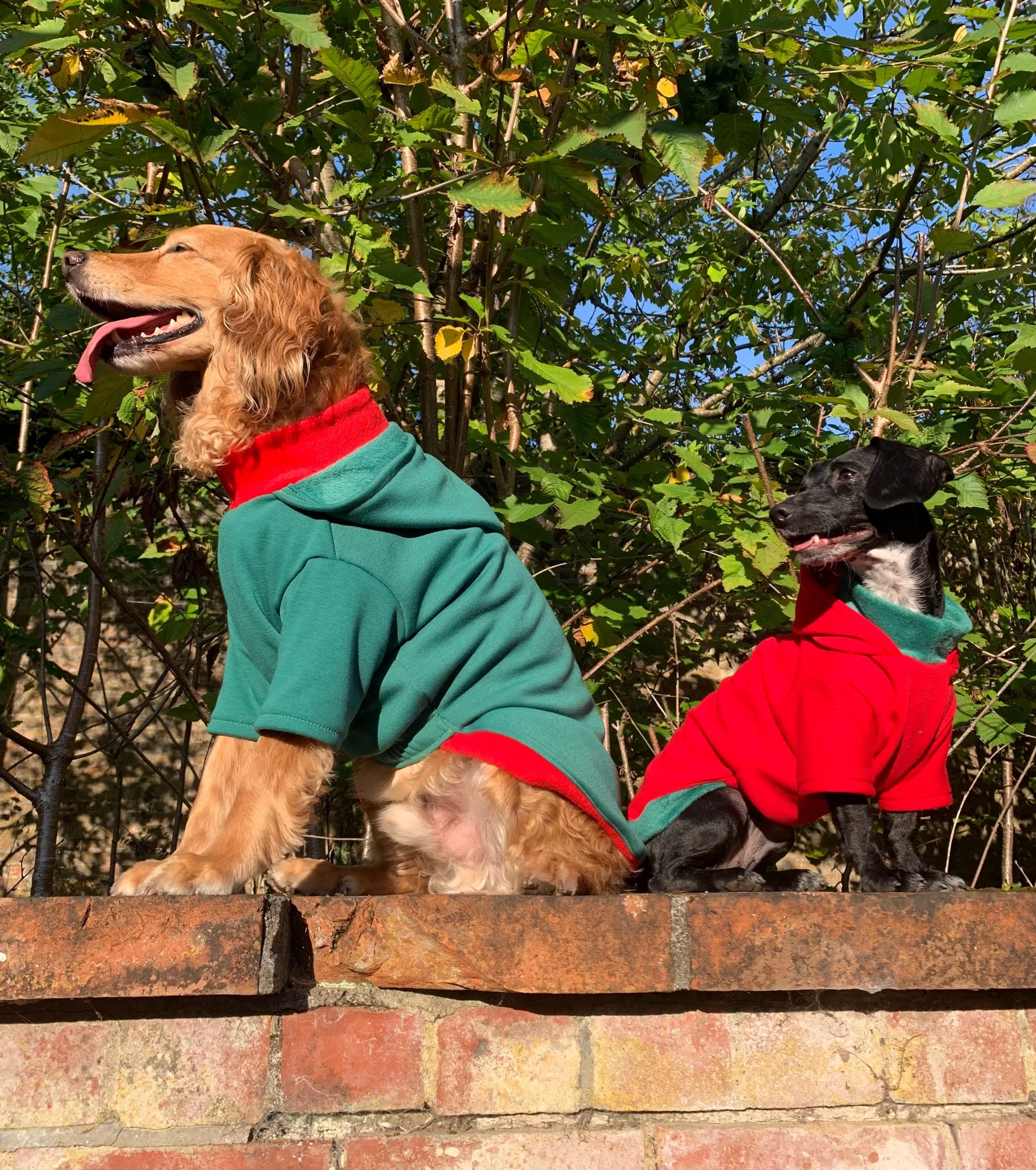 Dog Christmas Jumper