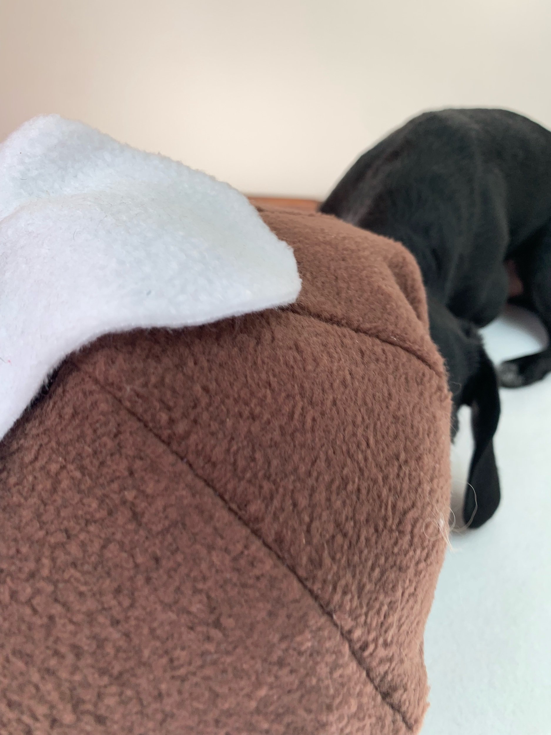 Snuffle Christmas Snuffle pudding an interactive dog toy for mental stimulation, handmade slow feeder made in Ireland making the perfect local Christmas gift