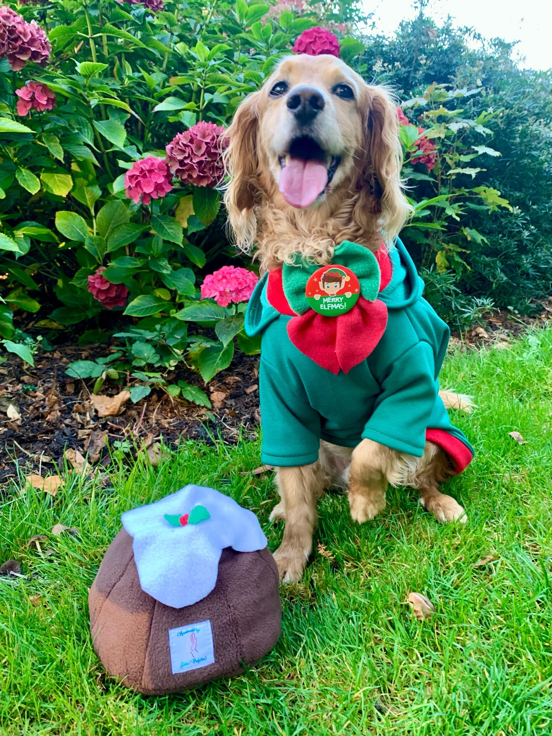 Snuffle Christmas Snuffle pudding an interactive dog toy for mental stimulation, handmade slow feeder made in Ireland making the perfect local Christmas gift